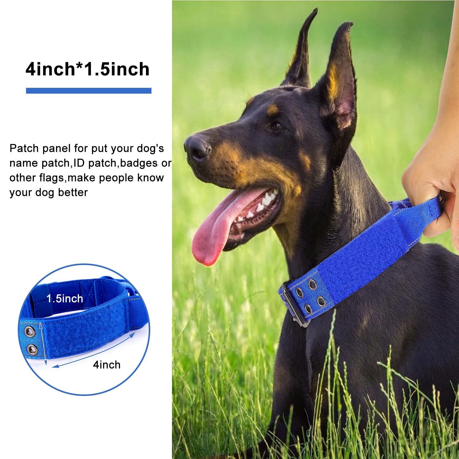 Yunleparks Reflective Dog Collar Heavy Duty Tactical With Control Handle And Metal Buckle For Dog Training(M,Blue)