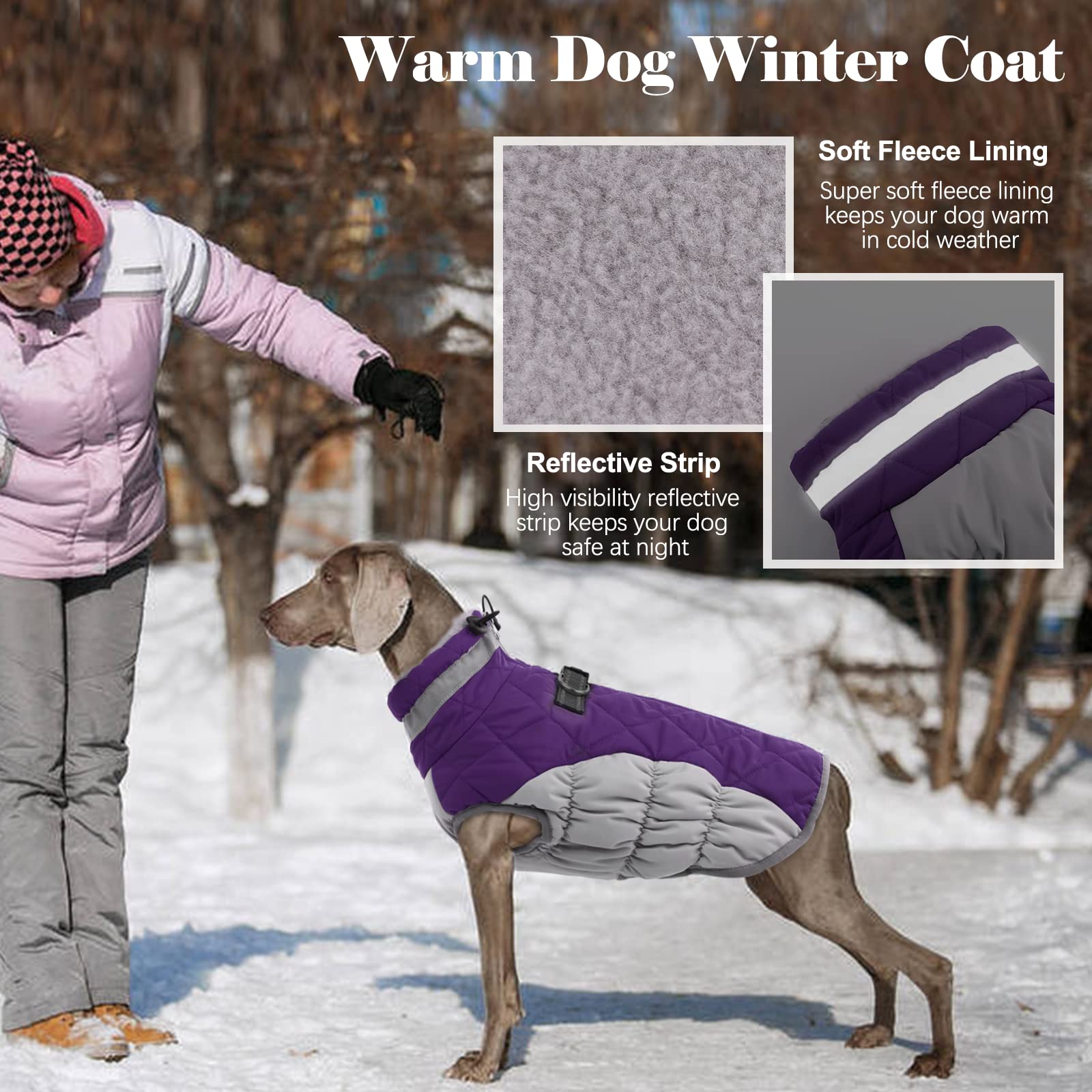 LeLePet Warm Dog Winter Coat, Waterproof Fleece, Windproof, Reflective, Turtleneck, Harness, Purple, XXX-Large