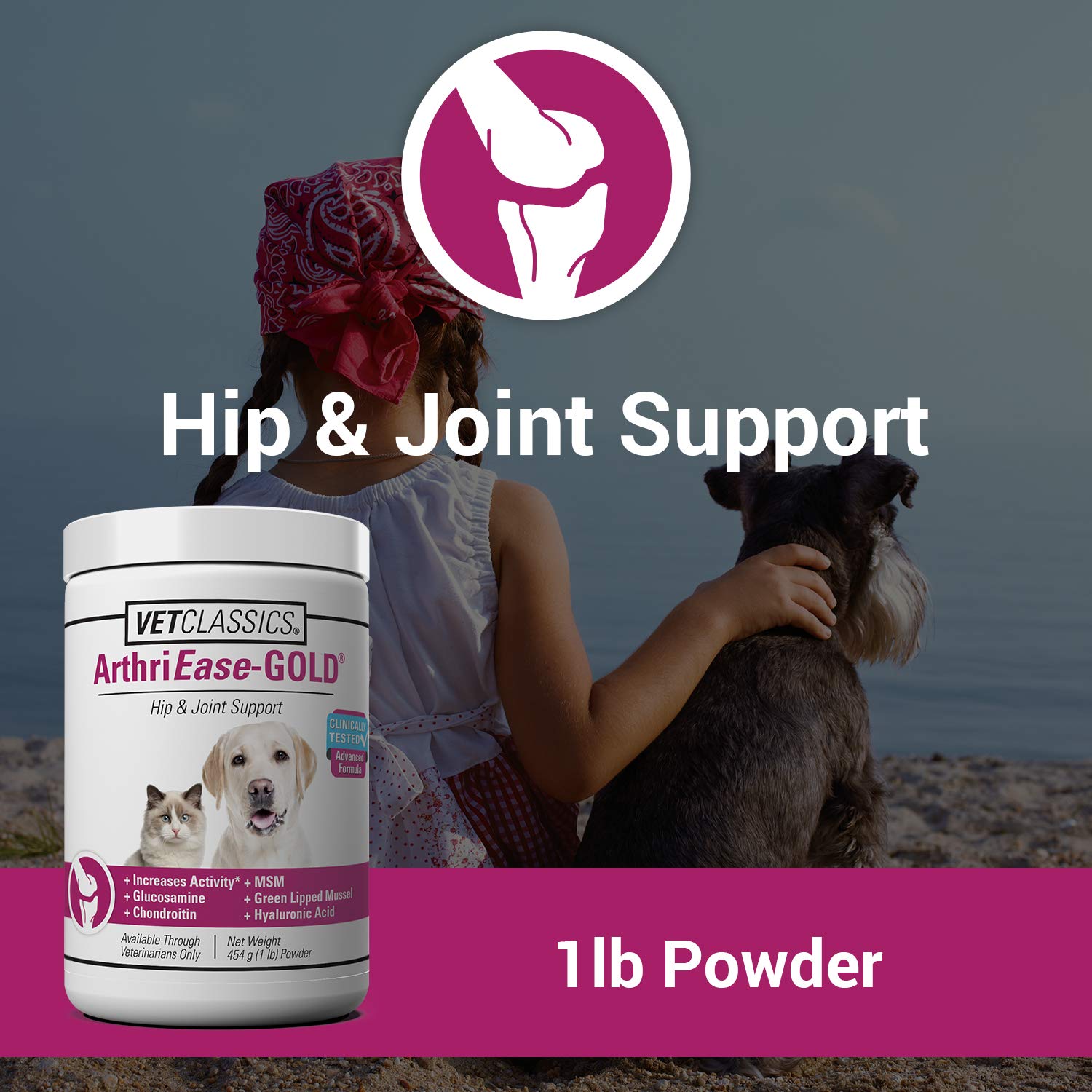 Vet Classics ArthriEase-Gold Hip & Joint Support for Dogs, Cats- Pet Health Supplement Powder - Alleviates Aches, Discomfort - F