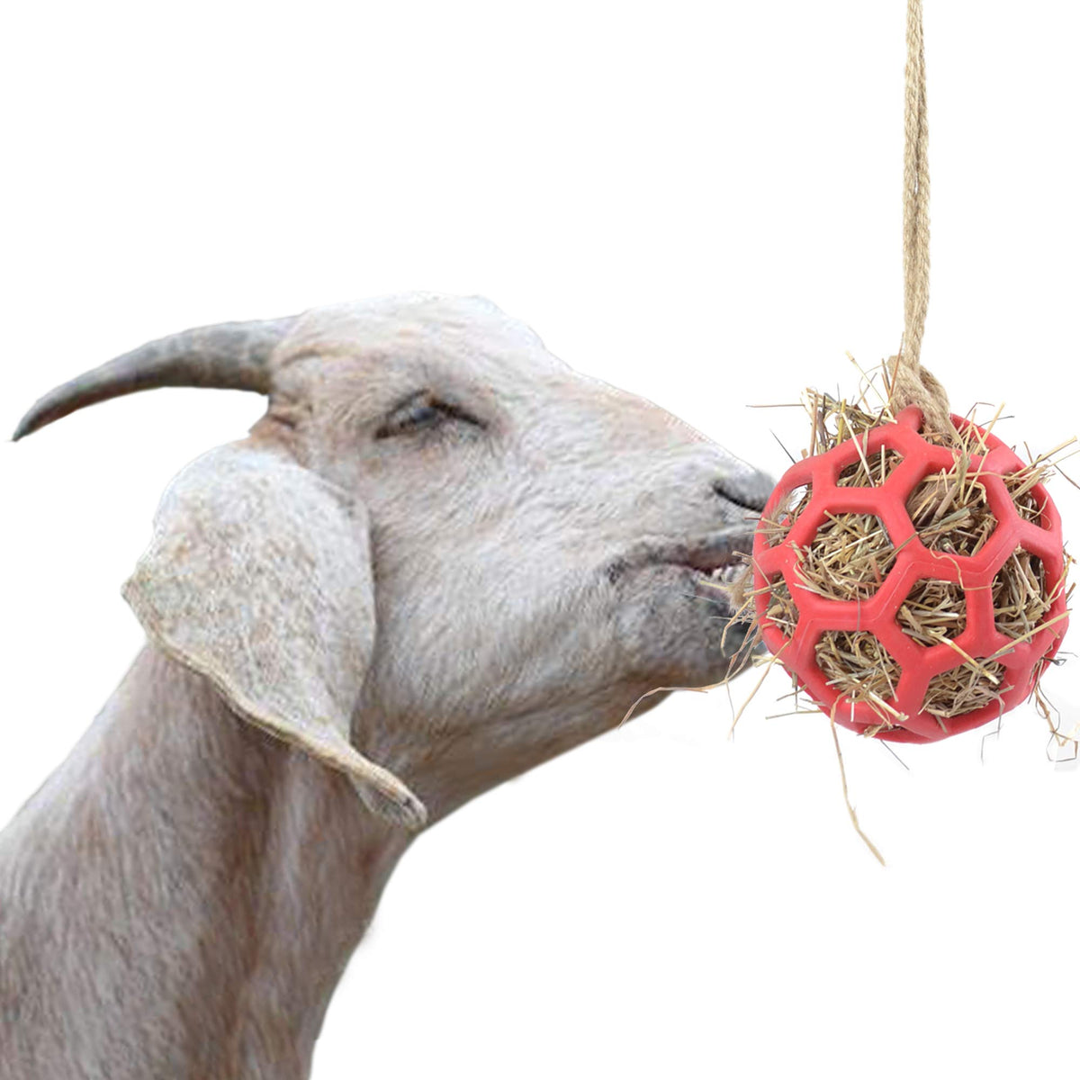 Yuyuso Goat Feeder Toy, 50' Rope, Headbutting Ball For Exercise, Stress Relief, Hay And Treats Compartment