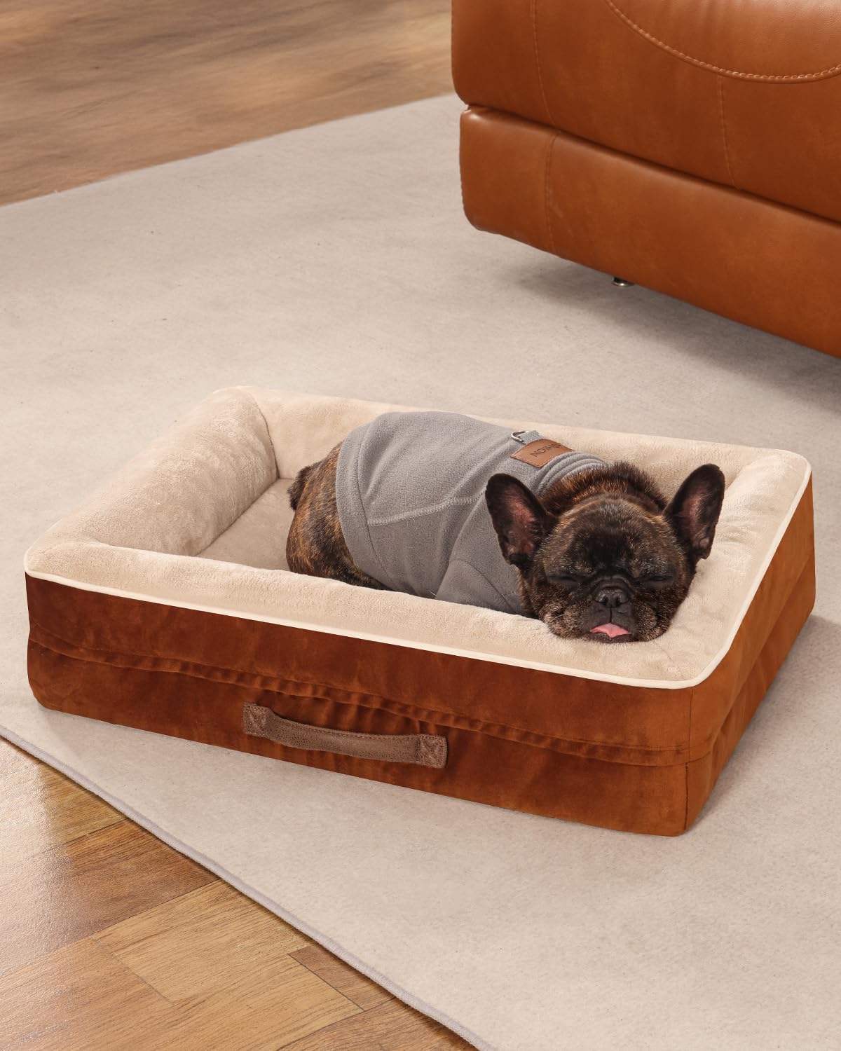 Cat Beds For Indoor Cats, Egg Foam Orthopedic Dog Bed With Removable Washable Cover, Waterproof Cat Couch Bed With Non-Slip Bott