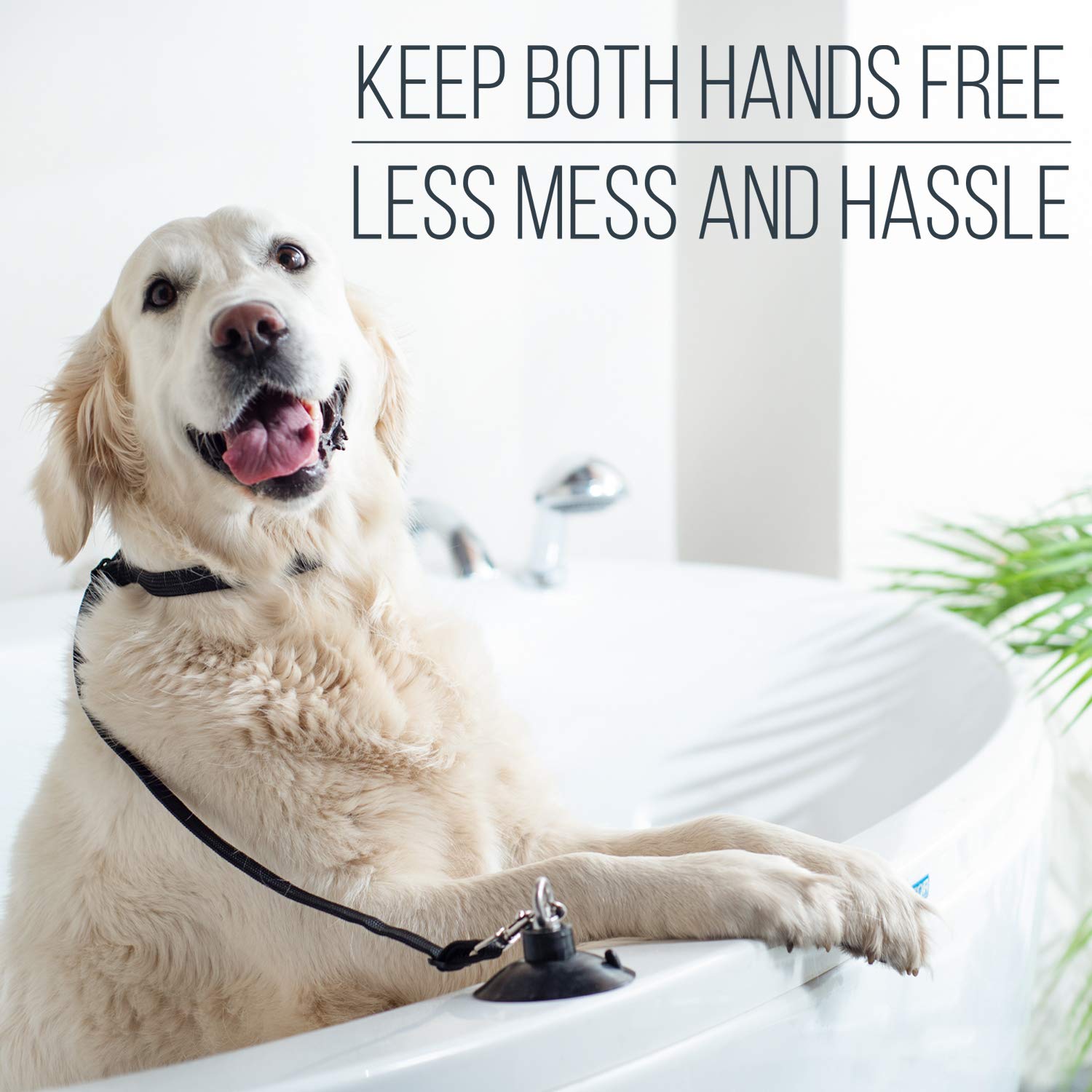 Dog Bathing Tether With Suction Cup For Pet Shower And Grooming