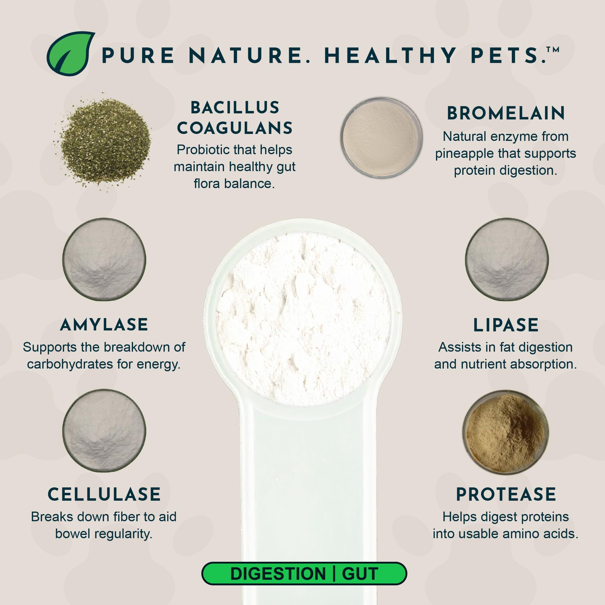 Animal Essential Plant Enzyme With Probiotics, 100 Gram