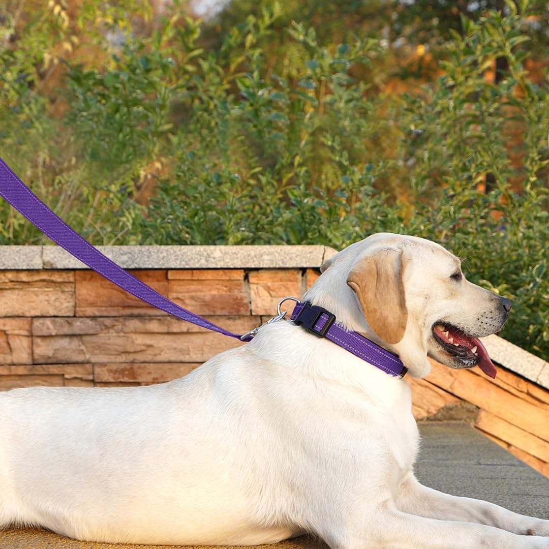 Penseepet Dog Leash 6 Ft Padded Handle Nylon Reflective Dogs Leashes For Large Dogs Purple