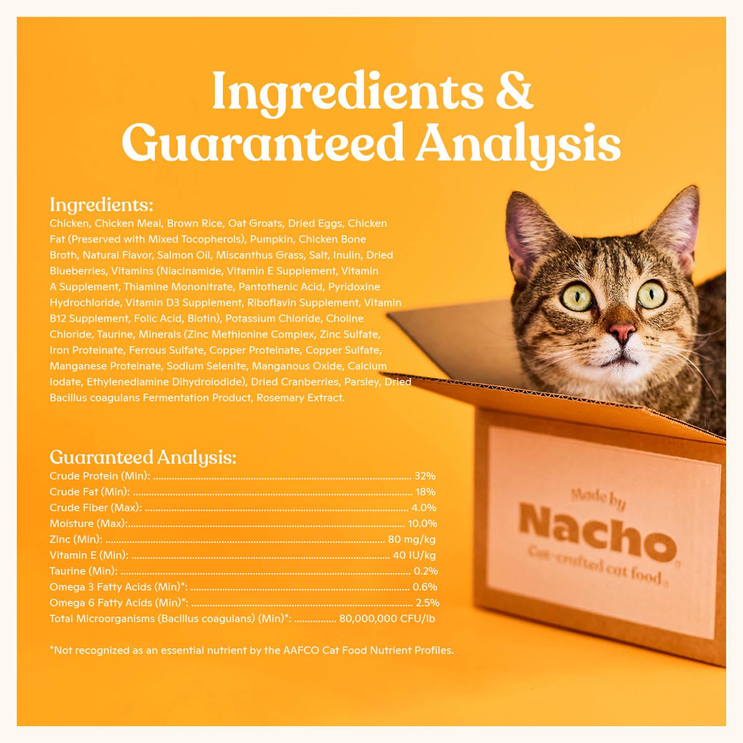 Made by Nacho Premium Dry Cat Kibble, Bone Broth Infused for Extra Cat Hydration, Grain-Friendly Dry Cat Food, Cage-Free Chicken