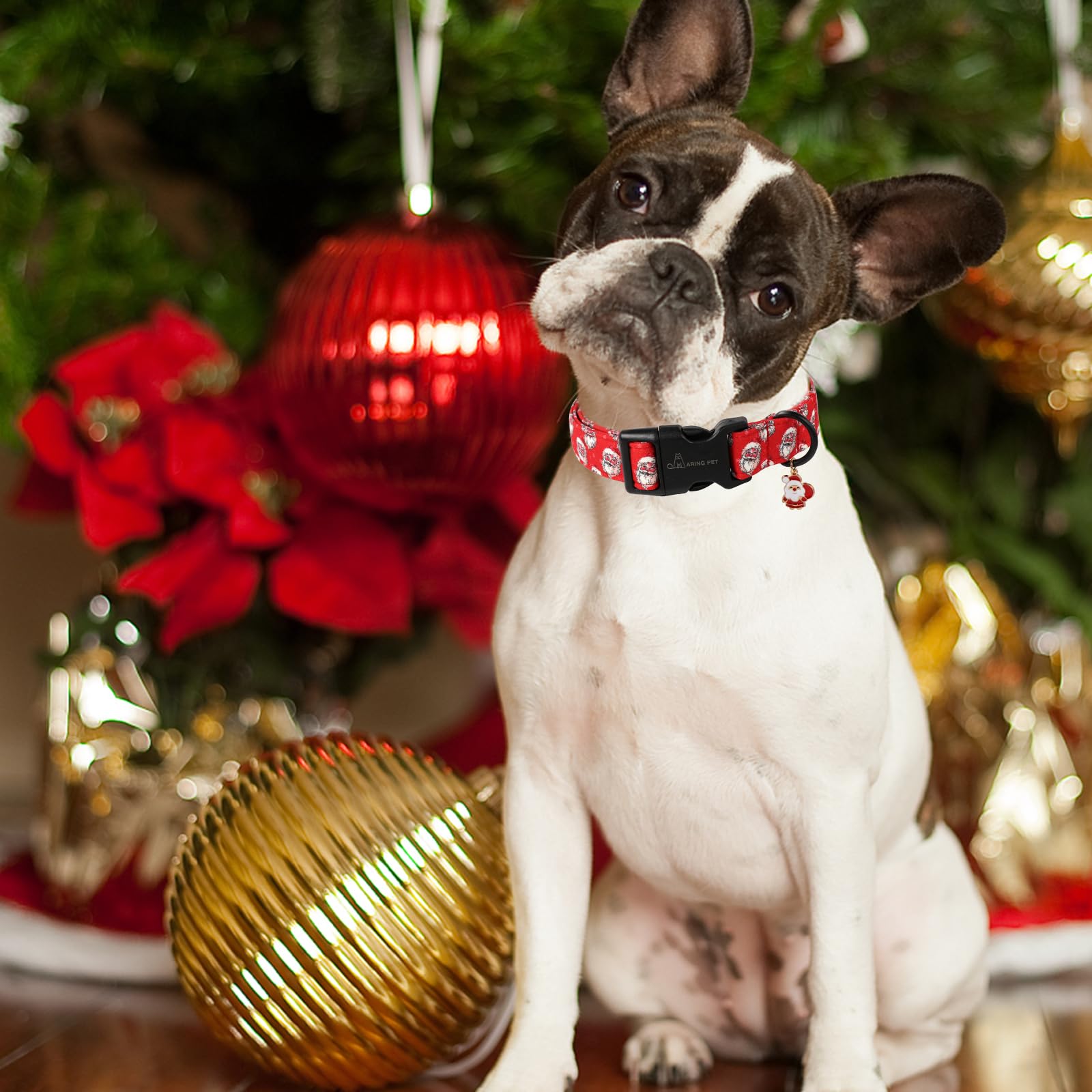 Aring Pet Christmas Dog Collar-Cute Red Santa Claus Dog Collars, Adjustable Christmas Pet Collars Puppy Collar With Quick Releas