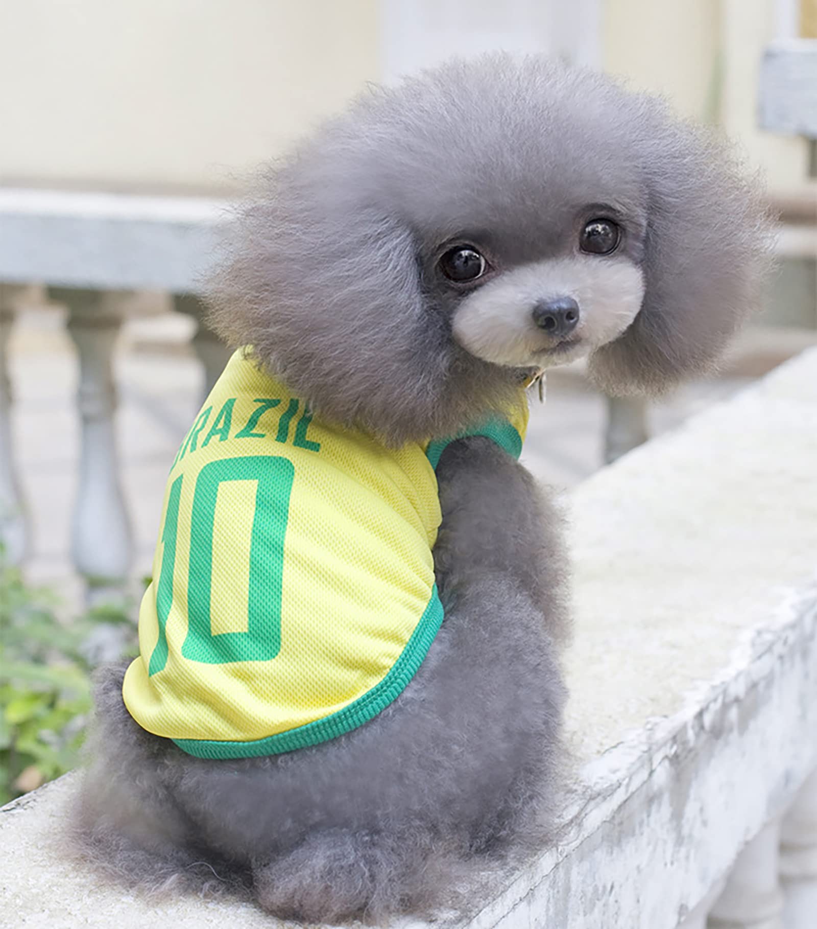 Gabefish Dog World Cup T Shirt Pets Football Jersey Sports Soccer National Team Vest Cat Summer Cool Clothes Apparel Brazil 2X-Large