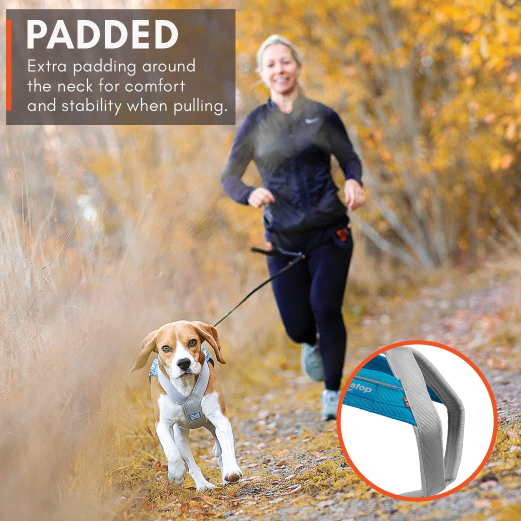 Non-Stop Dogwear Freemotion Harness 5.0 Dog Pulling Harness For Sports Like Running, Biking And Skiing With Dogs, Professional Adjustable Dog Harness, Orange/Black, Size 7