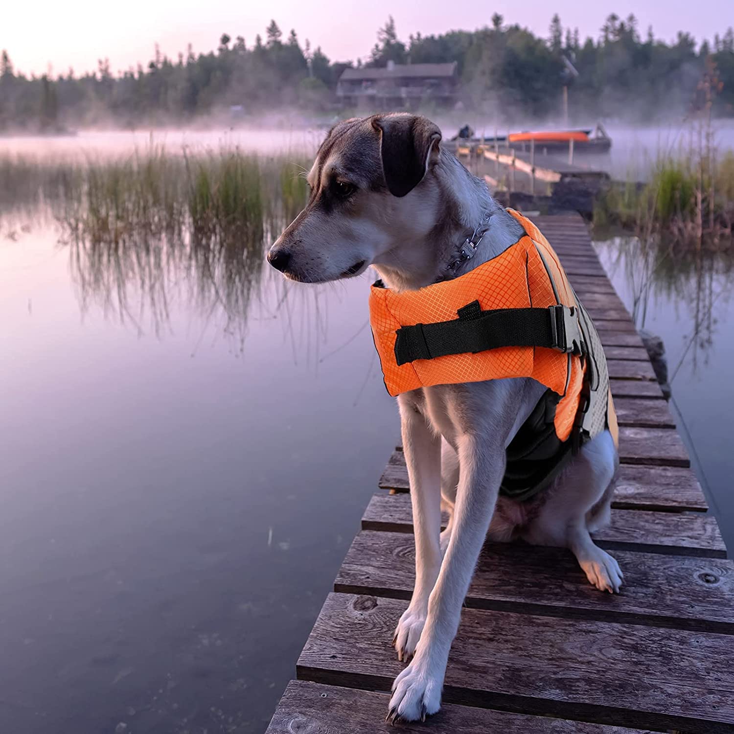 Dog Life Jacket Swimming Vest Lightweight High Reflective Pet Lifesaver With Lift Handle, Leash Ring Orange,Xs