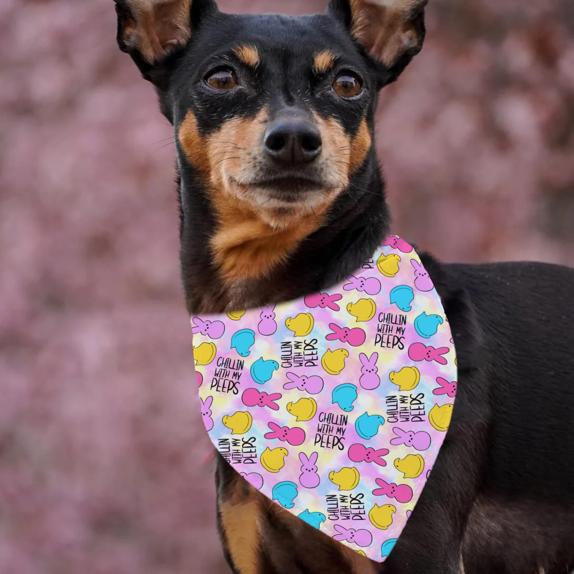 Happy Easter Dog Bandanas, Chillin With My P.Eps Dog Scarfs For Boy And Girl, Pet Scarves For Holiday Bandanas For Small Medium