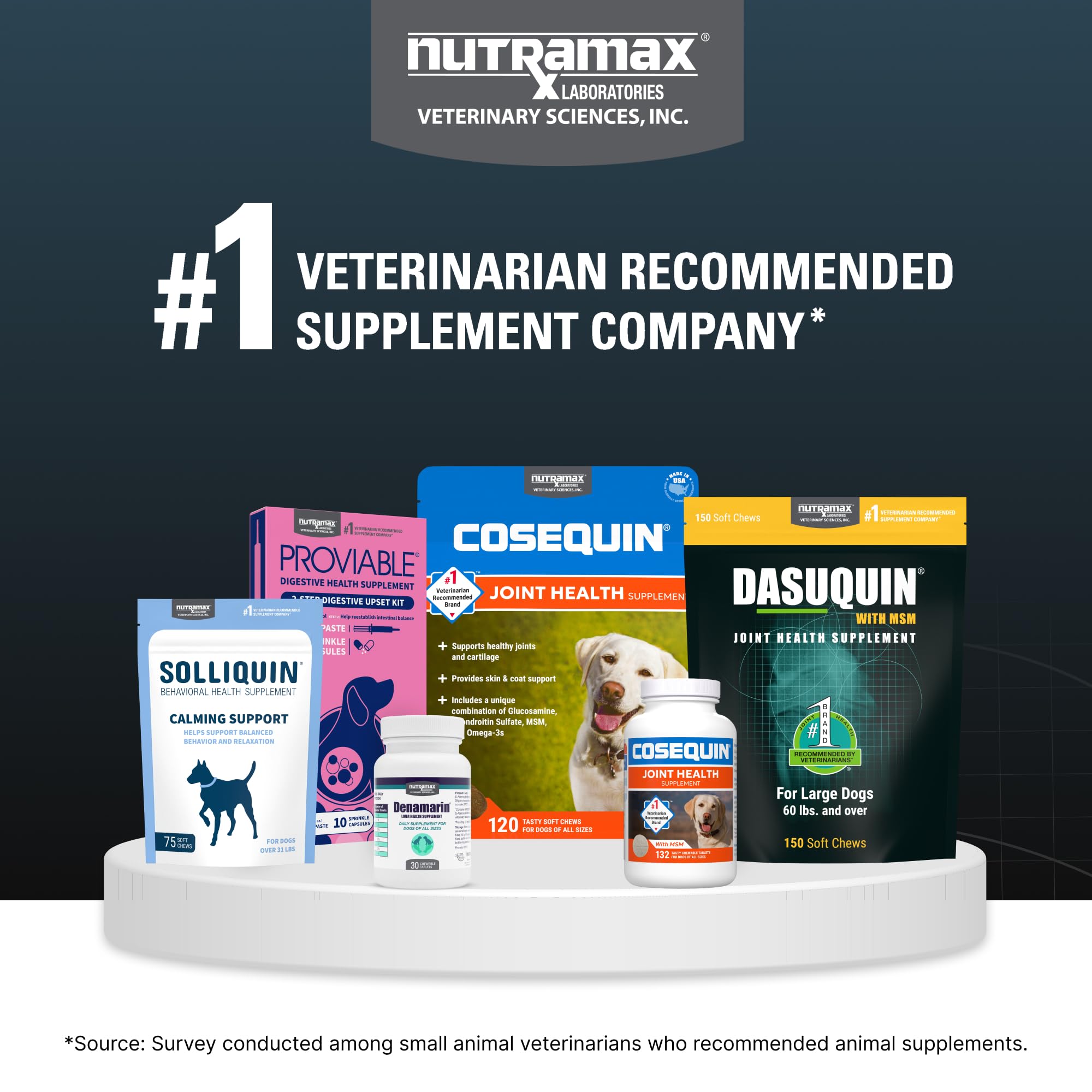 Nutramax Dasuquin for Small to Medium Dogs, Joint Health Supplement, Contains Glucosamine for Dogs, Plus Chondroitin, ASU, MSM a