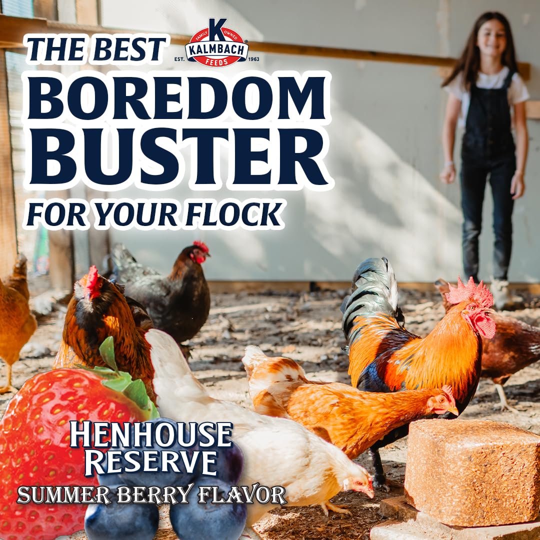 Kalmbach Feeds Henhouse Reserve Summer Berry Flavored Treat Block for Chickens, 20 lb