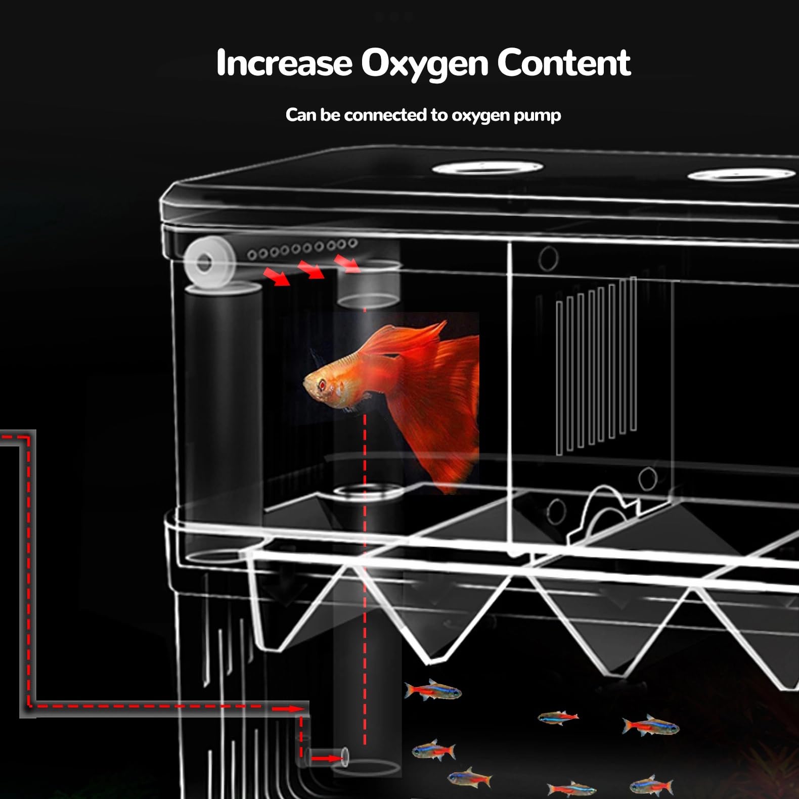 J-star Large Clear Acrylic Fish Breeder Box - Ideal for Betta, Guppy, Killifish, Shrimp, and Clownfish Isolation