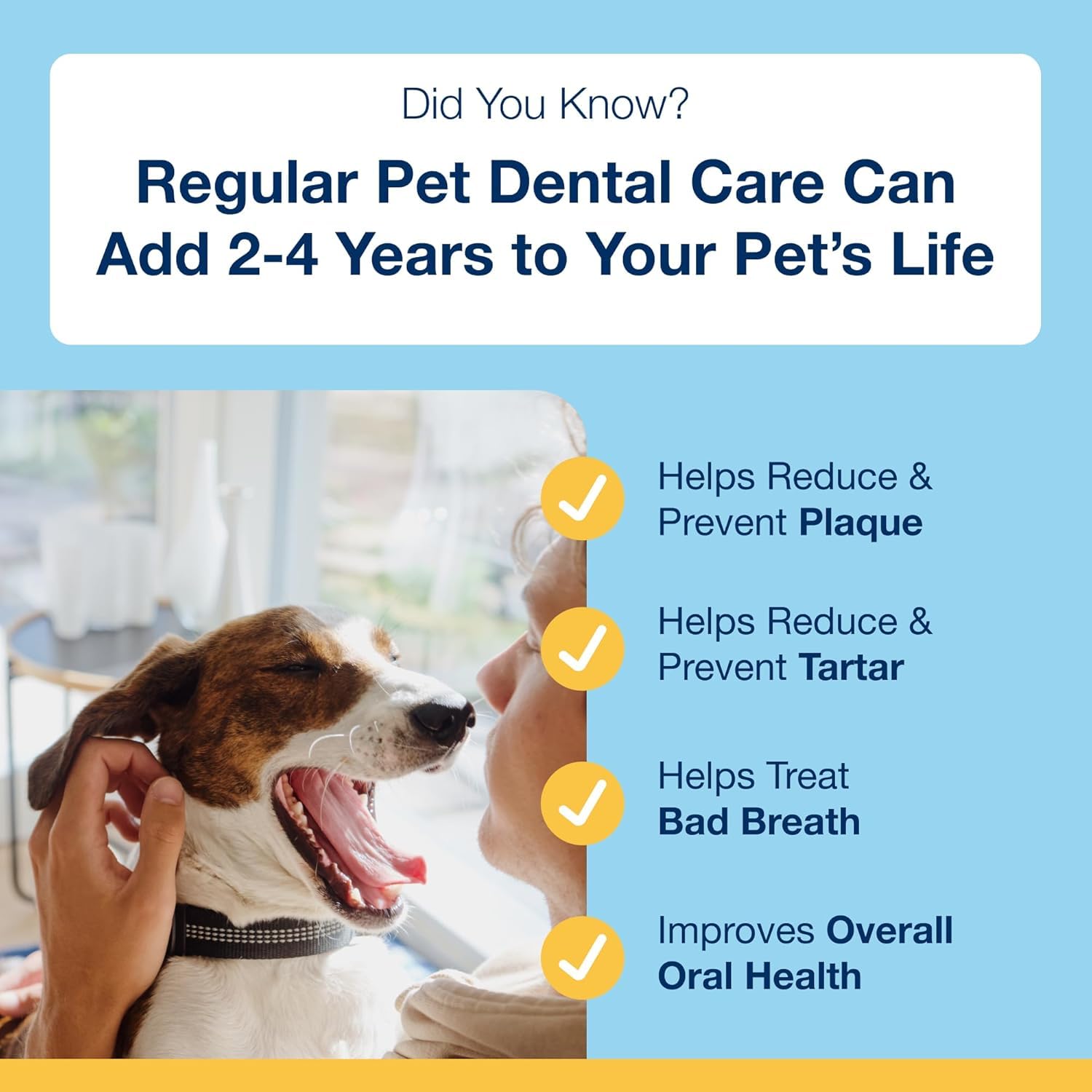 ProDen PlaqueOff System Dental Care Bones - Dog Teeth Cleaning Bones for Oral Hygiene -Medium/Large Canine Formula - Bacon Flavo