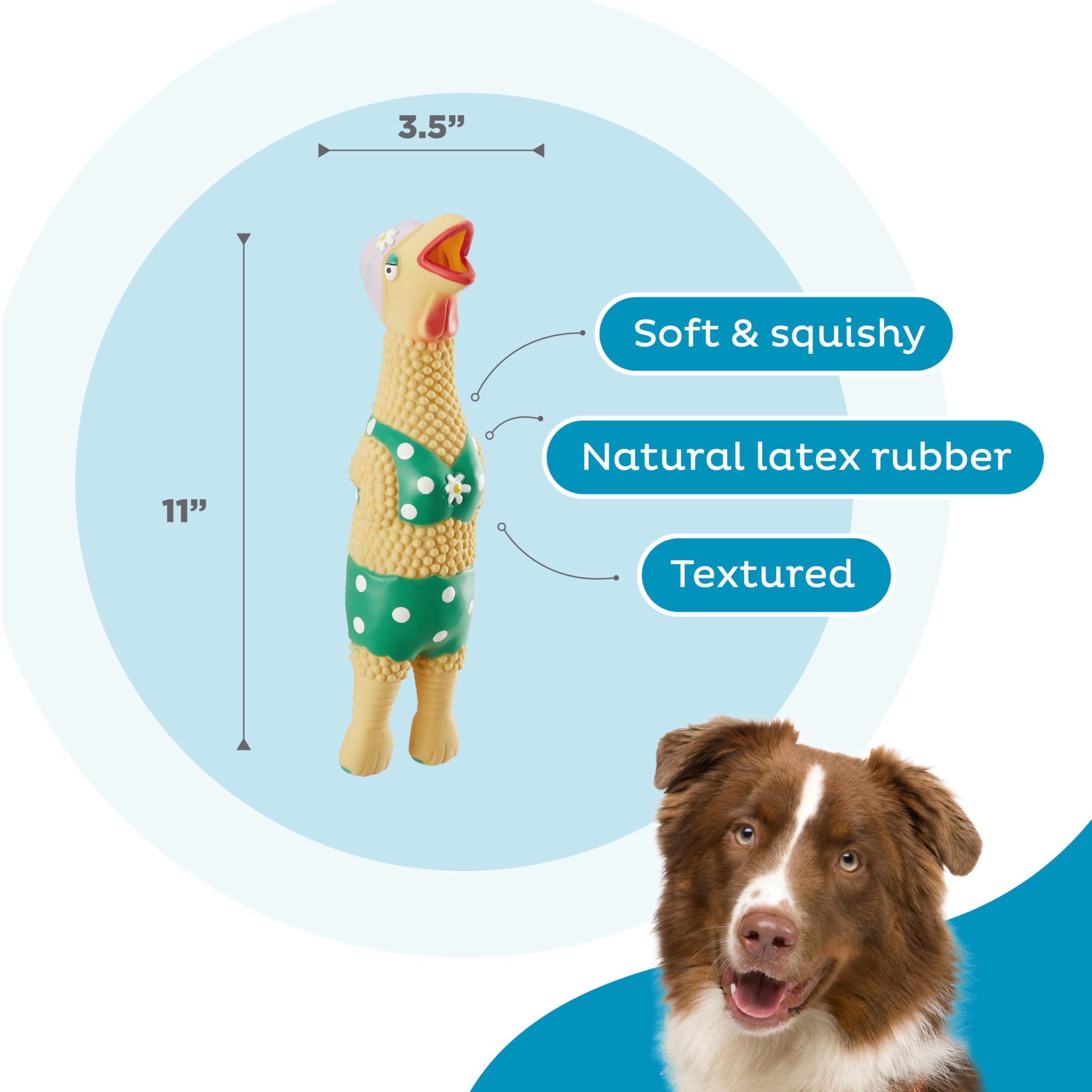 Outward Hound by Charming Pet Squawkers Grandma Hippie Chick Latex Squeaky Rubber Chicken Dog Toy, Funny Interactive Holiday Toy