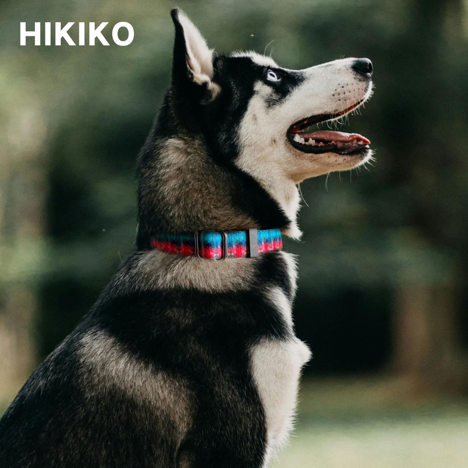 Hikiko Martingale Collar For Dogs With No Buckle Geometric Red Green Dog Collars For Medium Dogs,Gradient,M