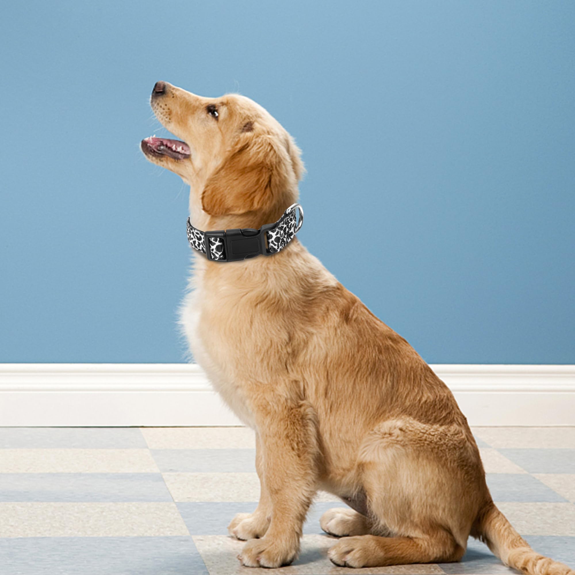 Pwod Reflective Dog Collar, Adjustable Soft Neoprene Padded Nylon Pet Collars With Buckle For Puppy And Small Dogs, Cats, Black