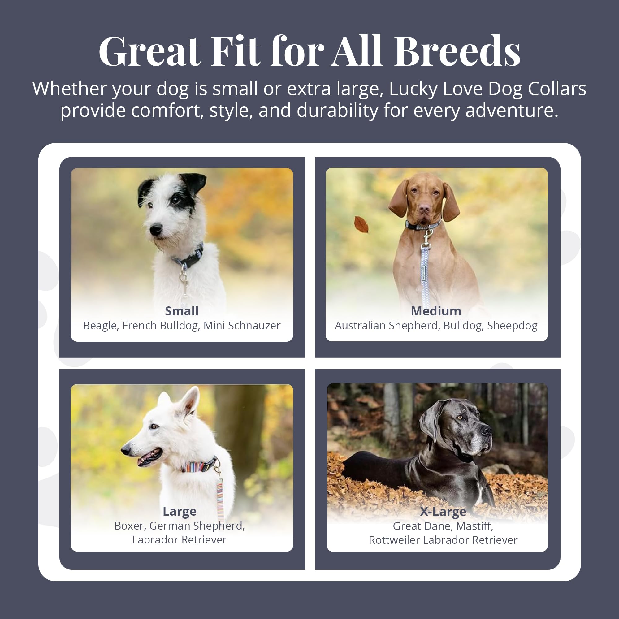 Lucky Love Dog Martingale Collar, Premium No Slip Martingale Collar For Large Dogs, Great For Whippets, Greyhounds, And More (Ca