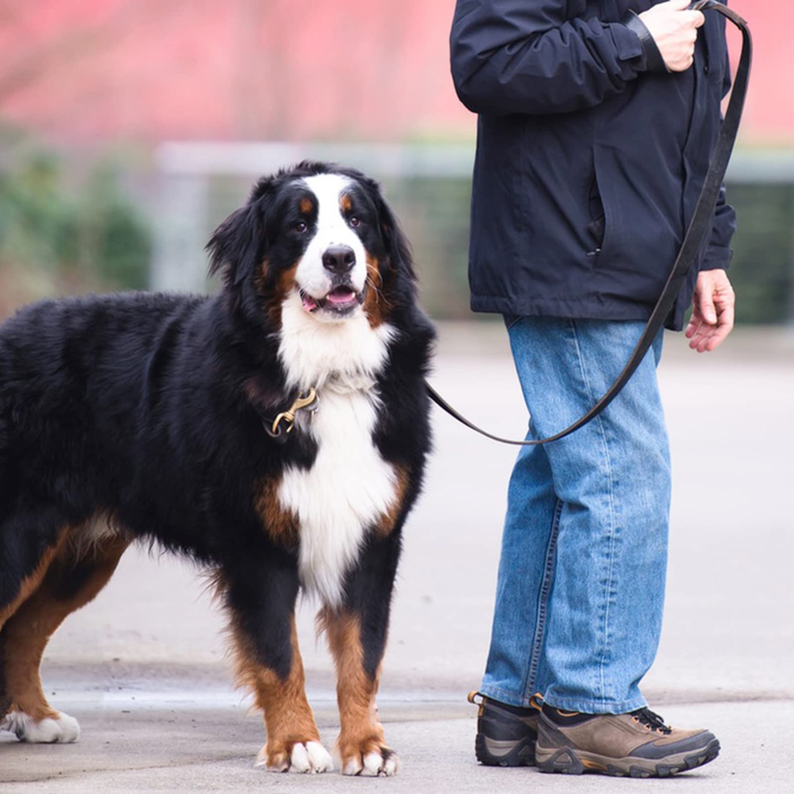 Meruogkar Leather Dog Leash 6Ft X 1/2 Inch,Strong Heavy Duty Genuine Leather Braided Dog Training Leash, Soft And Comfortable Le