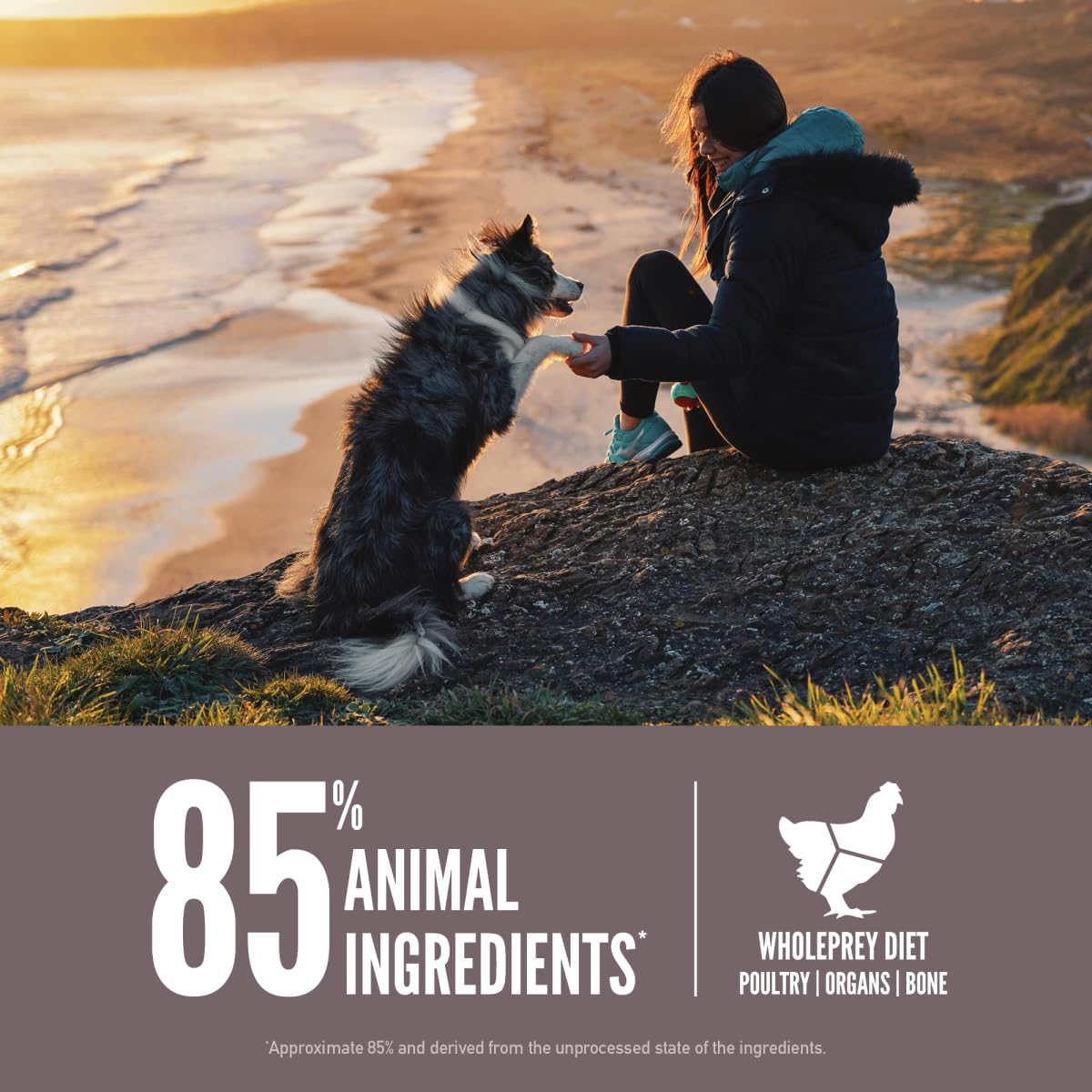 ORIJEN Fit & Trim Grain Free Dry Dog Food, 13lb, Fresh Ingredients, Grey