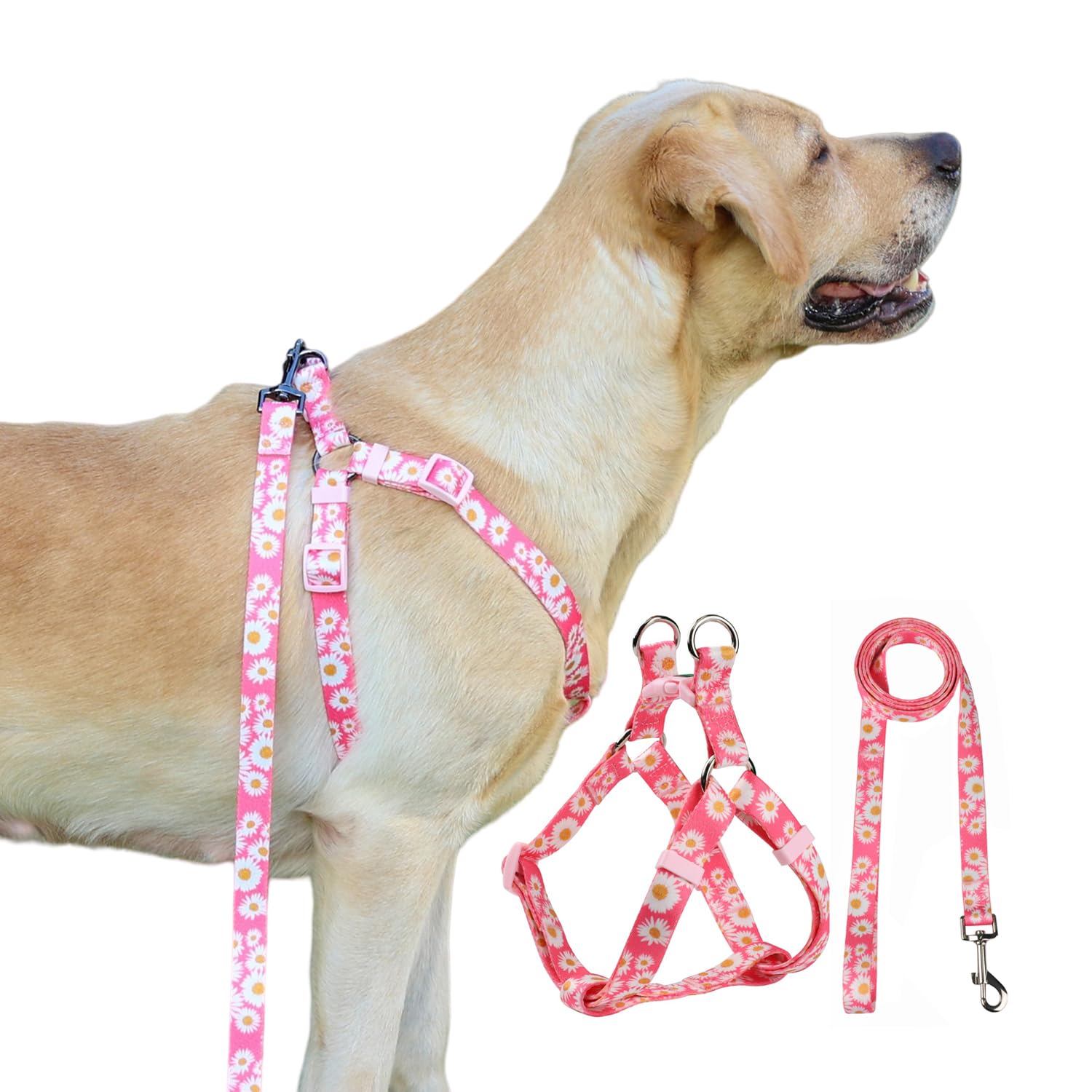 Olahibi Harness And Leash Set, Floral Pattern, 5Ft Matching Leash, No Pull, Easy Wear For Small Puppy Dogs.(Xs, Pink Daisy)