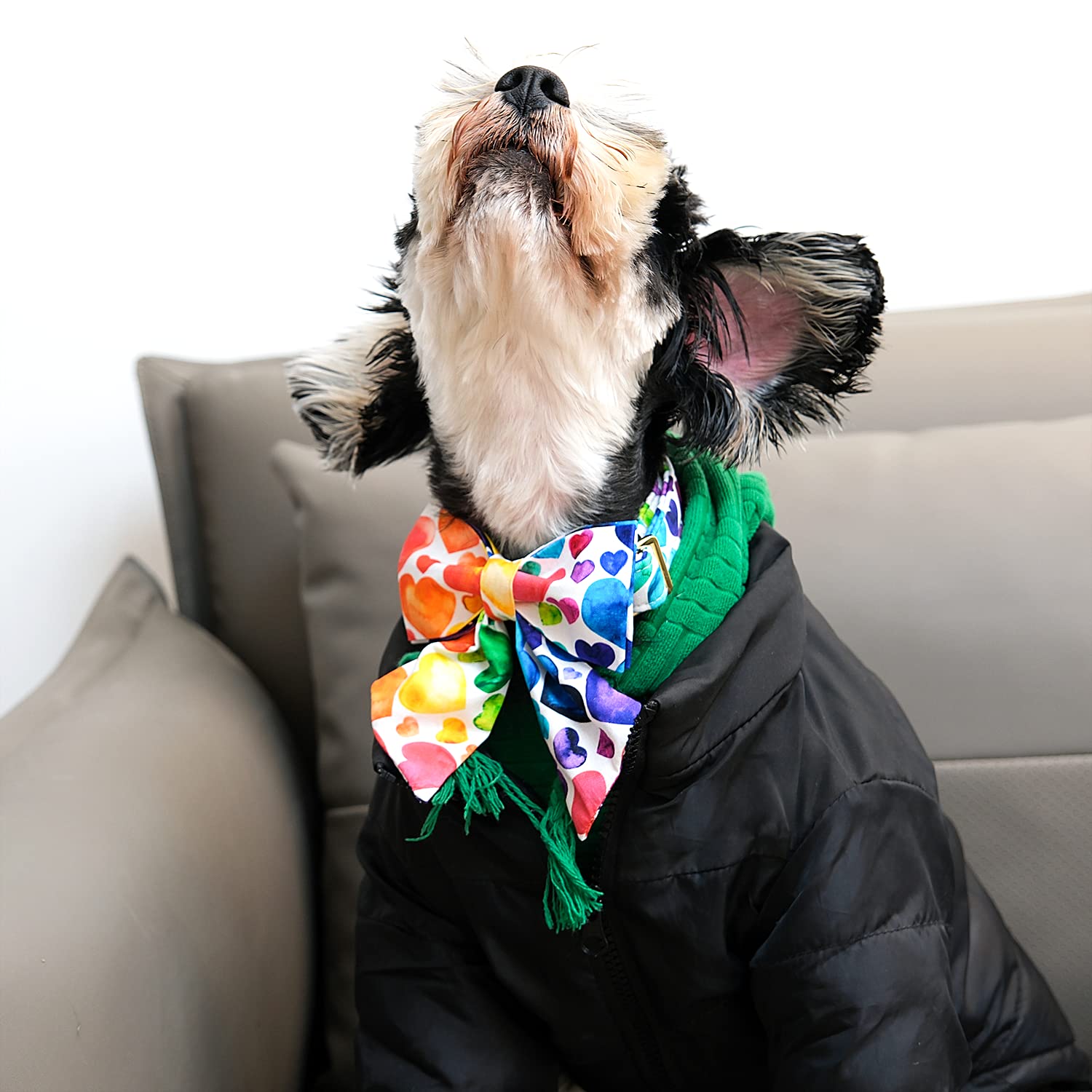 Lionet Paws Valentines Day Dog Collar With Bowtie, Dog Sailor Bow Collar With Metal Buckle For Dogs And Cats, Adjustable Comfort