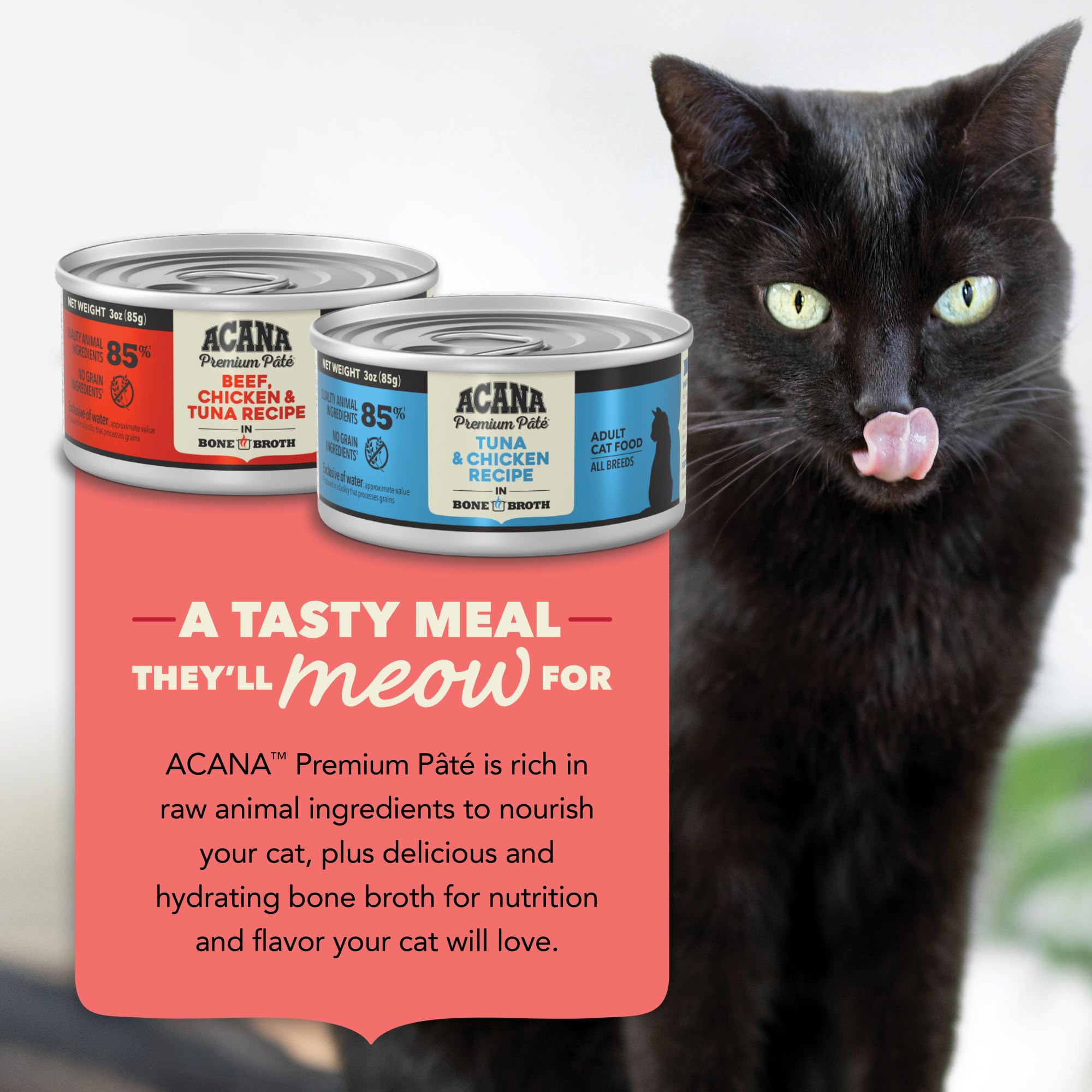 ACANA Premium Pate Wet Cat Food in Bone Broth Variety Pack: Surf and Turf - Beef Chicken & Tuna + Tuna & Chicken Recipes 3oz Can