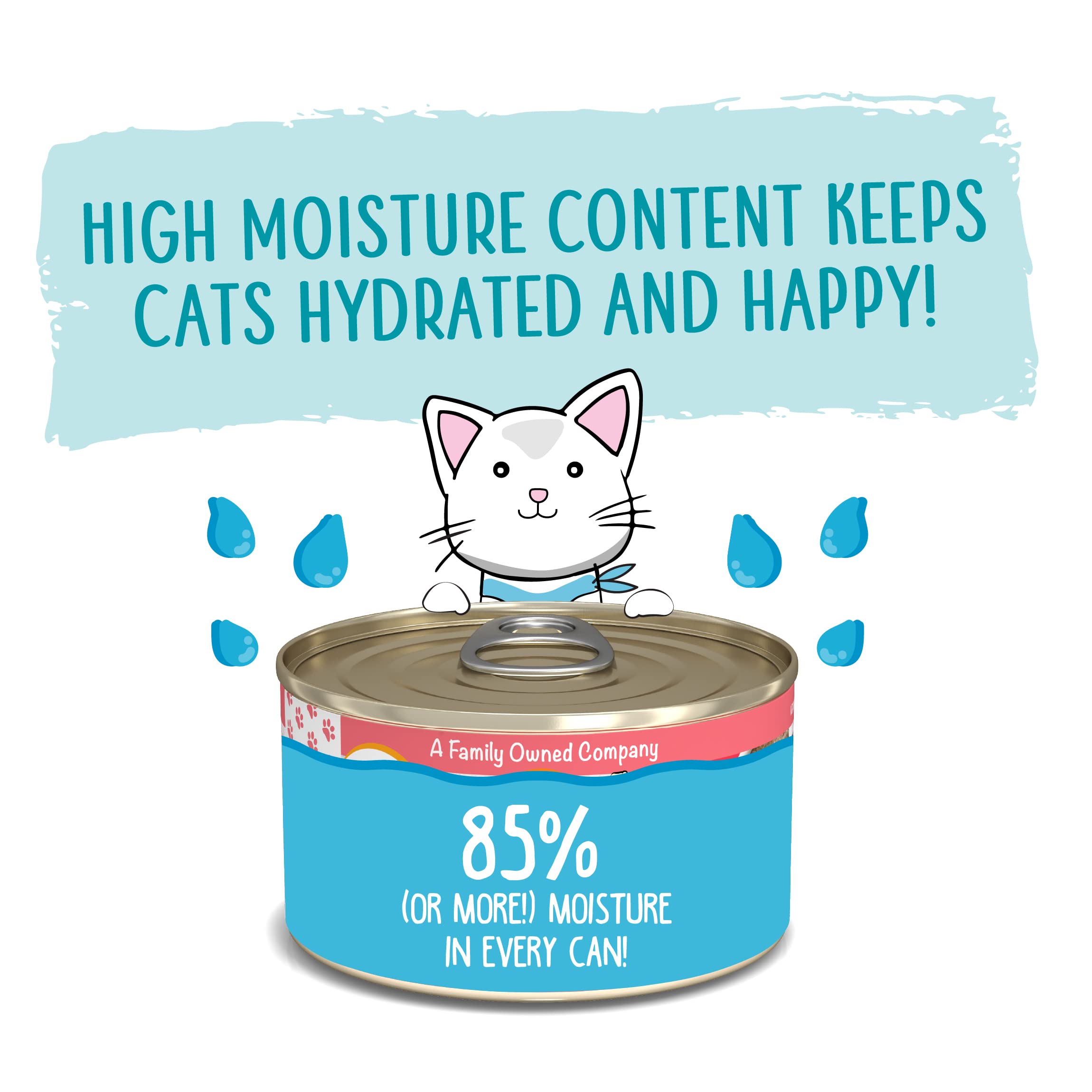 Weruva Wet Cat Food, The Mix and Match Game Pate Variety Pack, 3oz Can, Pack of 18