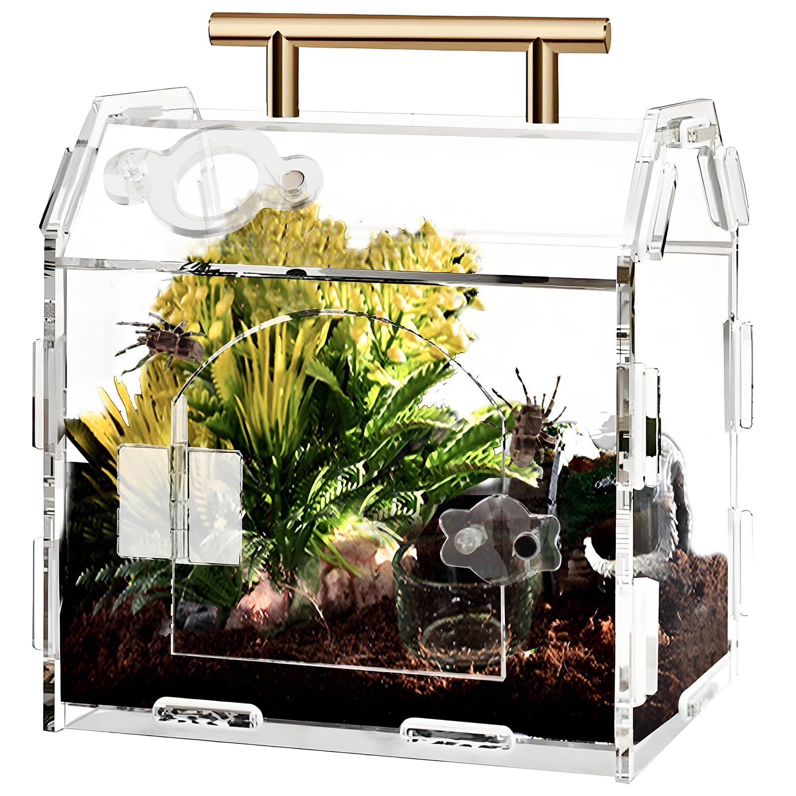Jumping Spider Enclosure Acrylic Terrarium: Tarantula Enclosure With Front Opening Door - 5.9 * 4.7 * 6.1 Inches Micro Habitat T