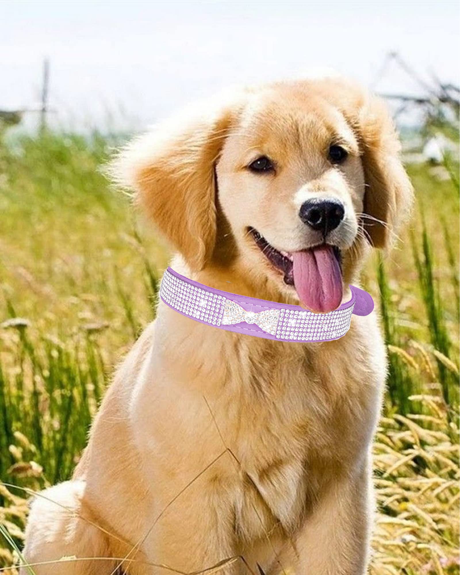 Dog Collar For Small Dogs, Adjustable Leather Suede Bling Dog Collars,Pink Dog Collar Cat Collar, Rhinestone Dog Collar (S, Blac