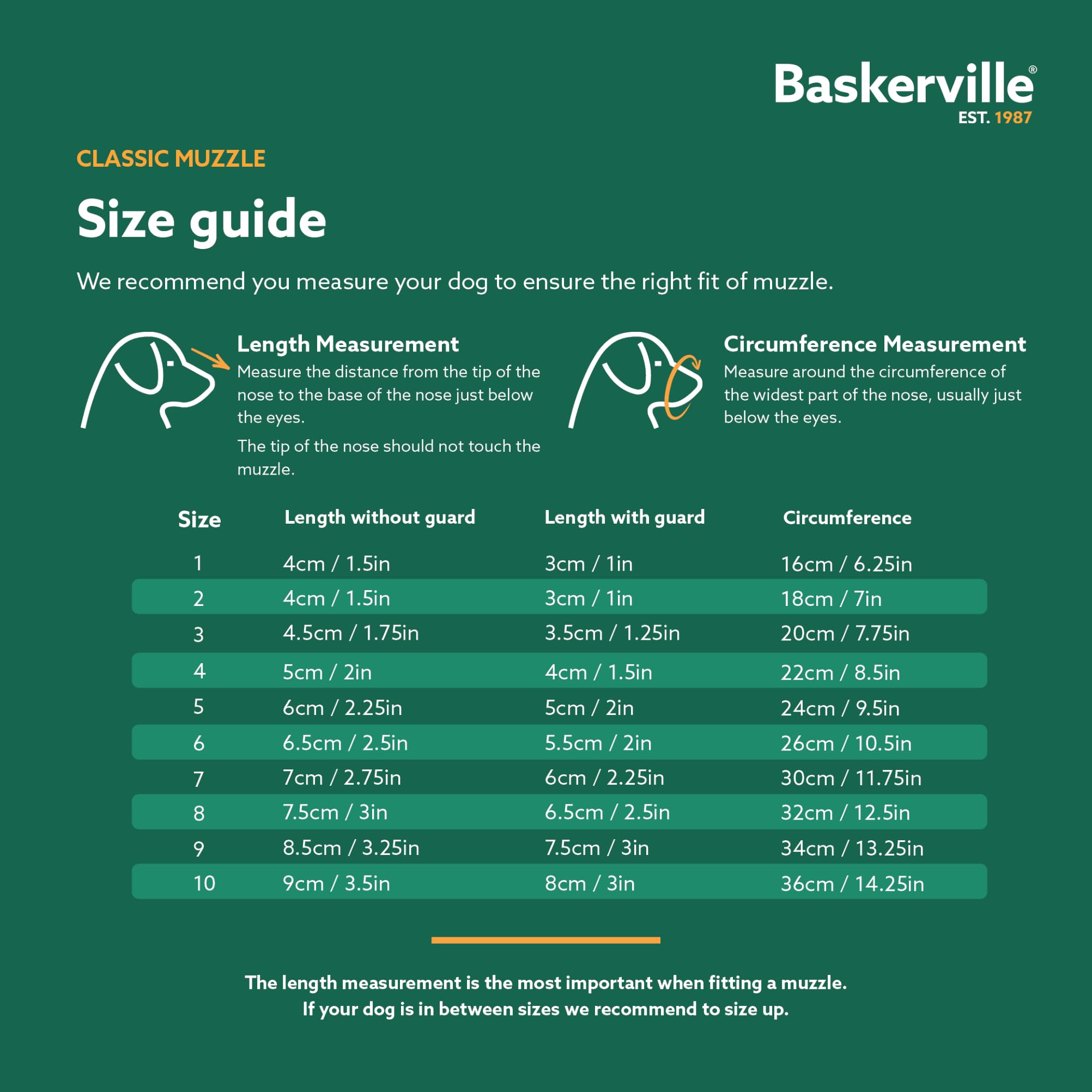 Baskerville Classic Basket Muzzle - Dog can Pant and Drink, Prevents Biting and Food Waste Scavenging, Strong TPR, Ideal for Lon