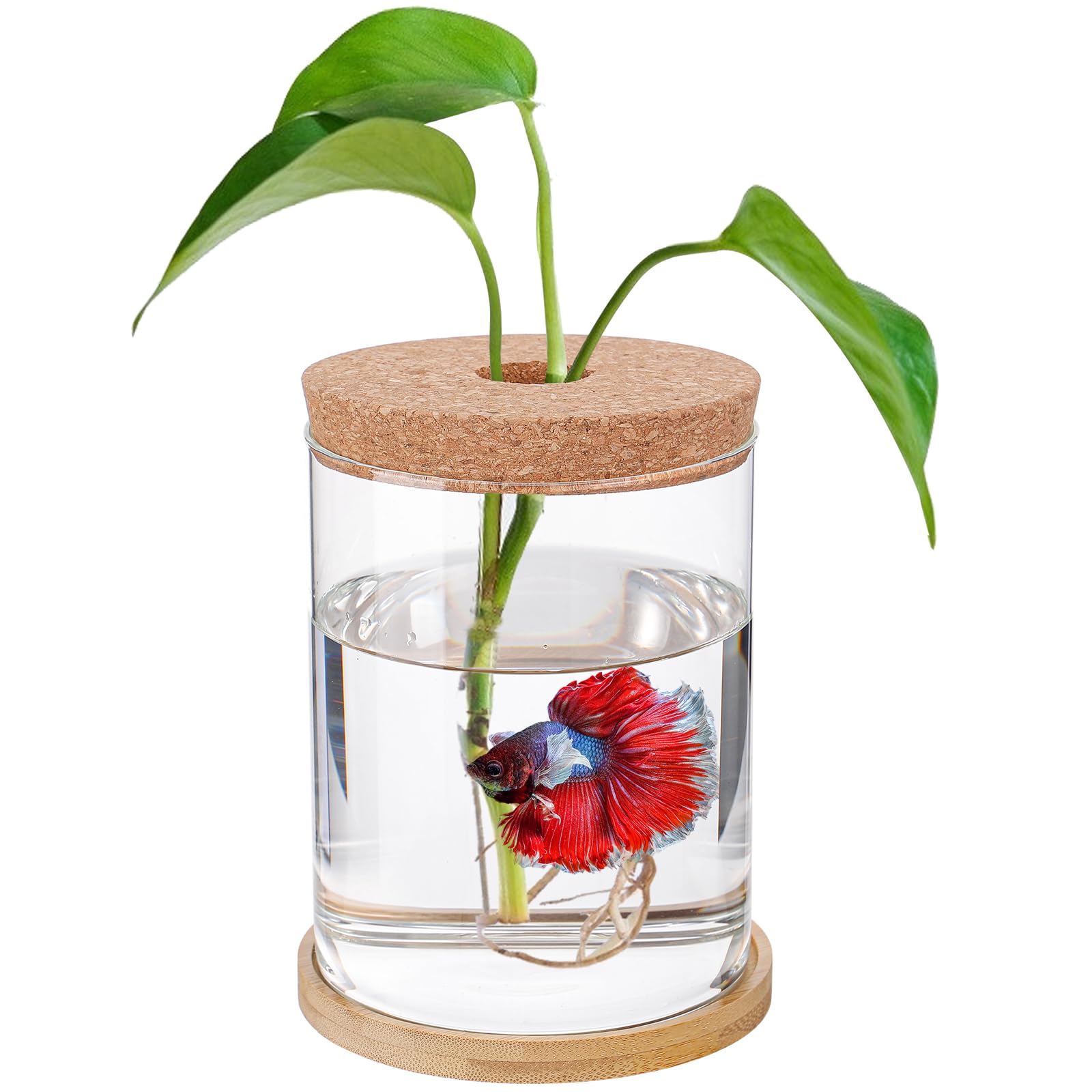 Desktop Fish Bowl Glass- Small Betta Fish Tank With Lid, Clear Hydroponic Plant Propagation Station For Home Office, Plant Lover