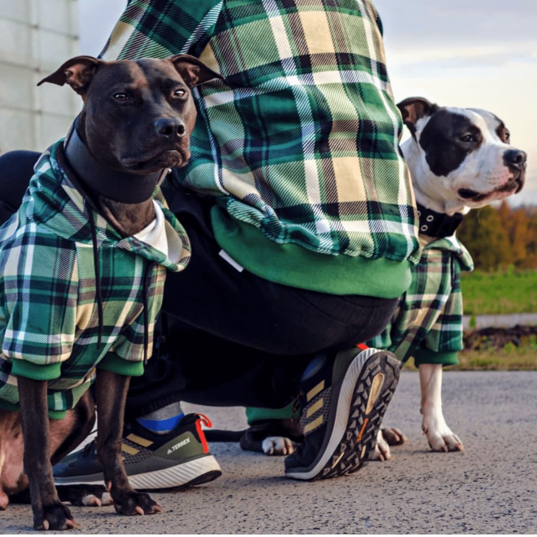 Spark Paws Dog Hoodie - Premium Quality, Buttery Soft, Superior Comfort And Fit, Calming Fleece Interior, Suitable For All Breeds - Green Plaid - 2Xl