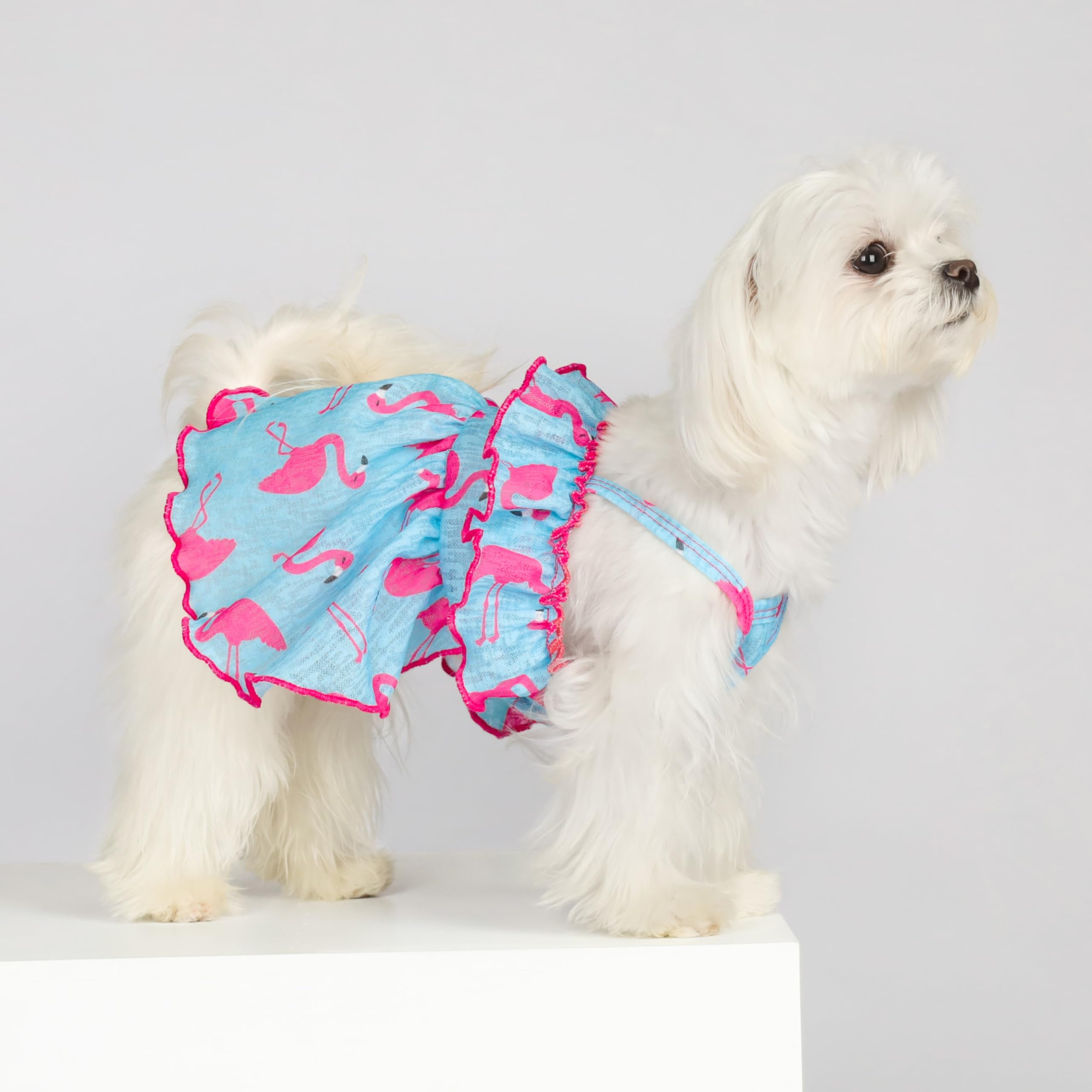 Fitwarm Flamingo Dog Dress - Summer Ruffled Sundress, Small, Polyester/Spandex, Blue/Pink