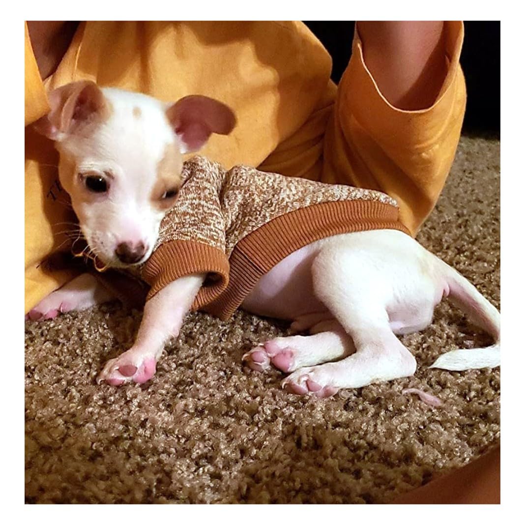 Chborless Pet Dog Classic Knitwear Sweater Warm Winter Puppy Pet Coat Soft Sweater Clothing For Small Dogs (Xxs, Khaki)