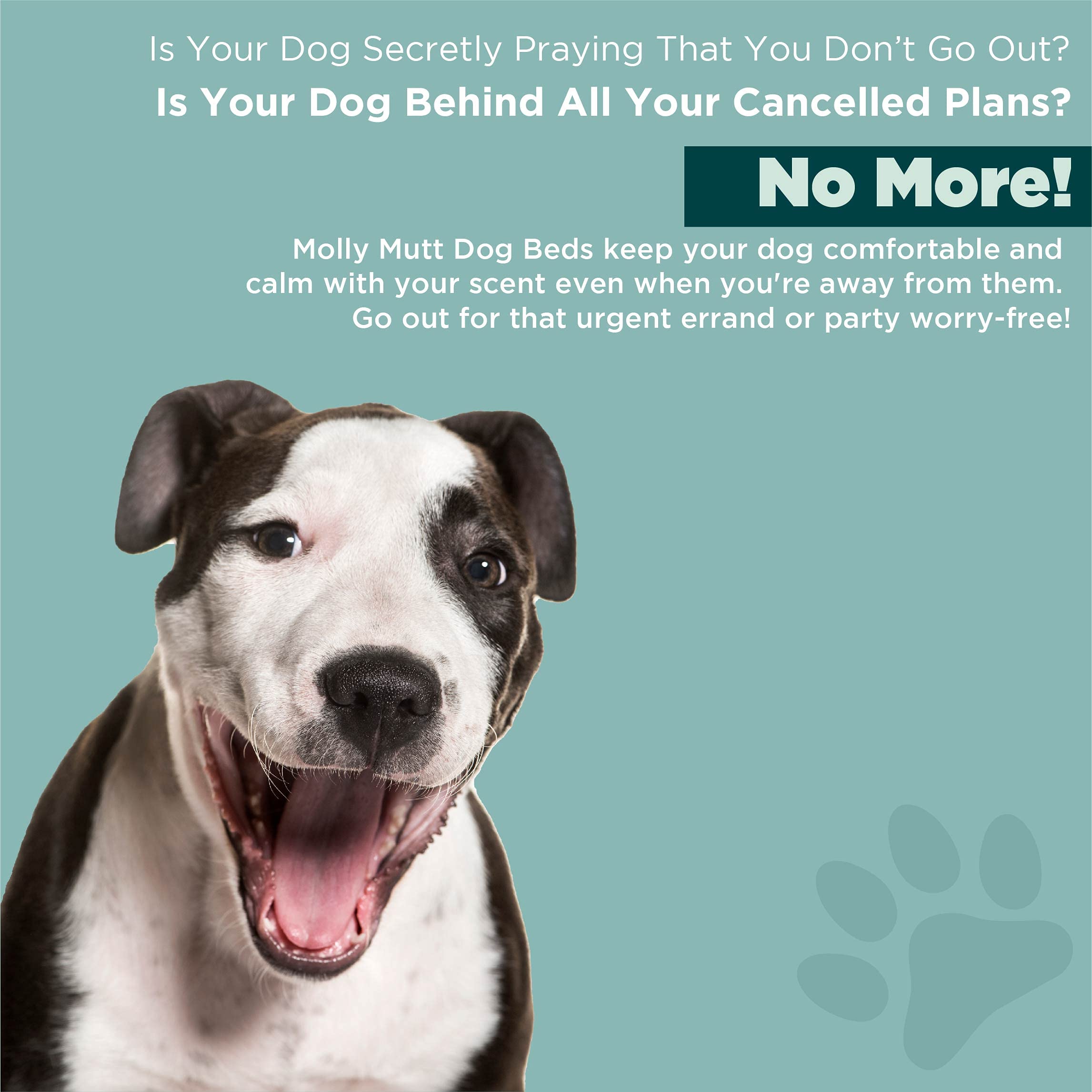 Molly Mutt Dog Bed Liner, Water-Resistant Bed Liner For Dog Bed, Puppy Bed, Or Cat Bed, Zippered, Polyester Cover, Durable, Washable, And Free Of Harmful Chemicals, Round, 36' X 5'