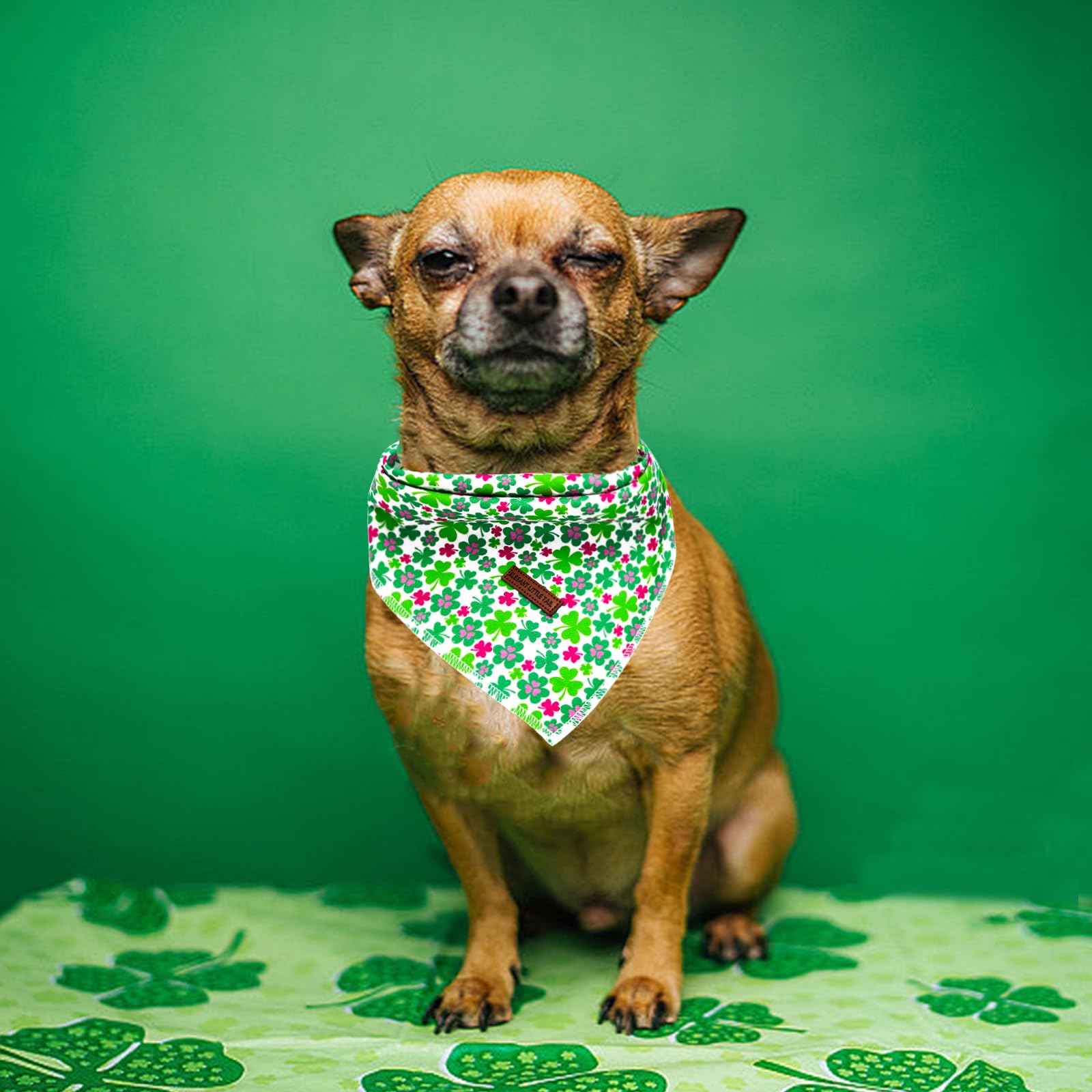 Elegant Little Tail Dog Bandanas - 1Pack Lucky Colver Pet Gift Washable Dog Scarf Holiday Girl Boy Square Bib Kerchief Scarf Adj