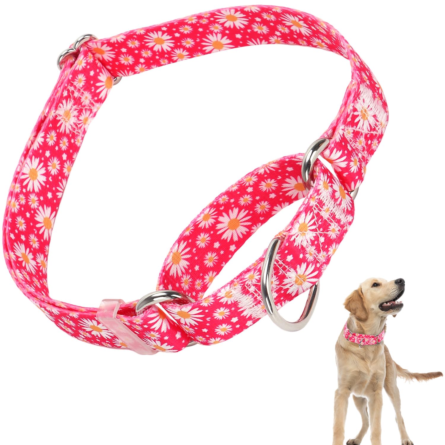 Martingale Collar For Dogs With Red Daisy Flowers, Martingale Collar For Girl Female Dogs Large Medium And Small, Adjustable Pre