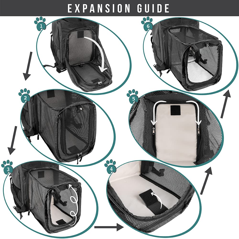 PetAmi Expandable Dog Cat Backpack Carrier - Airline Approved, Soft Back Support, Ventilated, for Small Medium Dogs & Large Cats, Charcoal