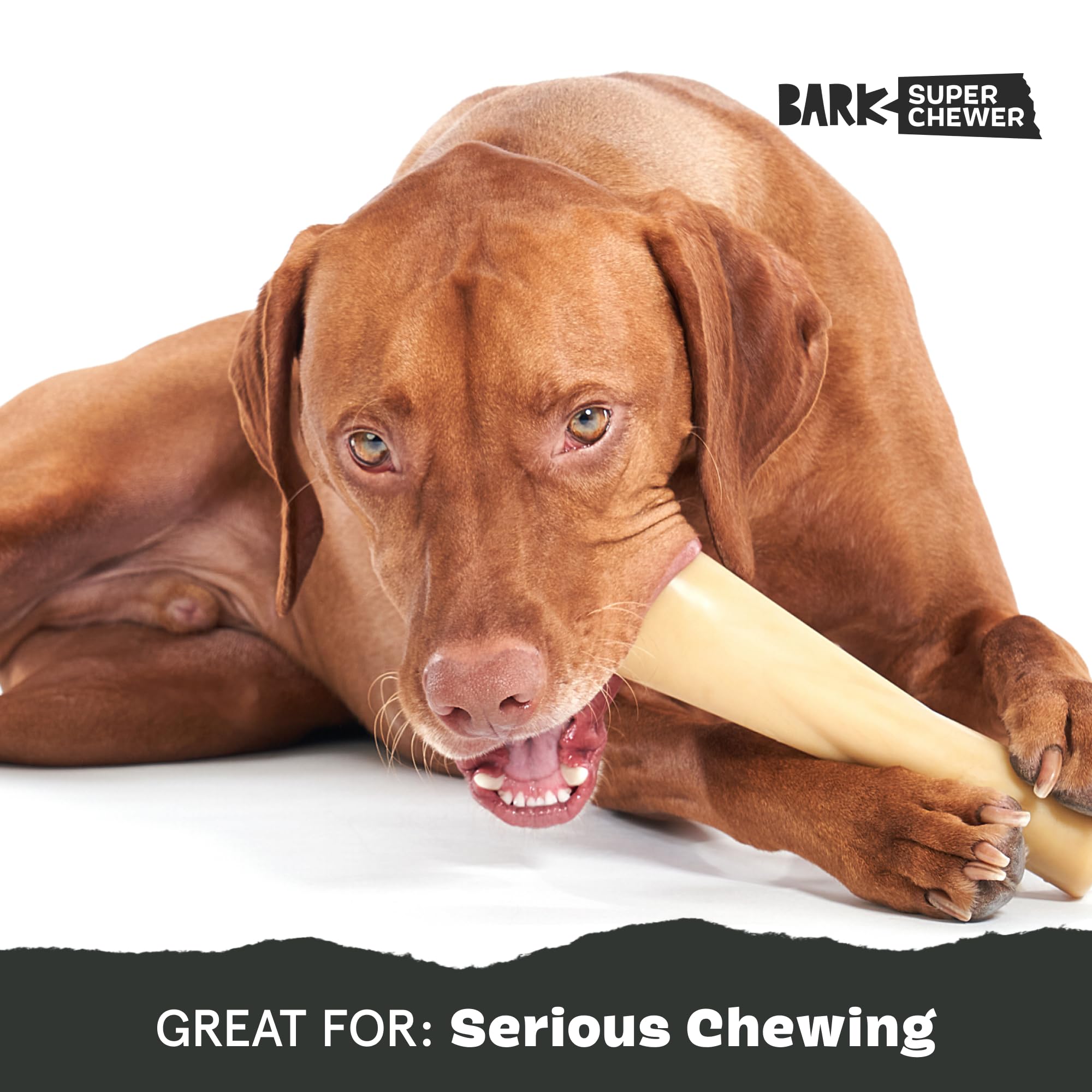 Barkbox Super Chewer Tough Dog Chew Toys For Aggressive Chewers, Dental Stimulating (Bacon Bone - Large)