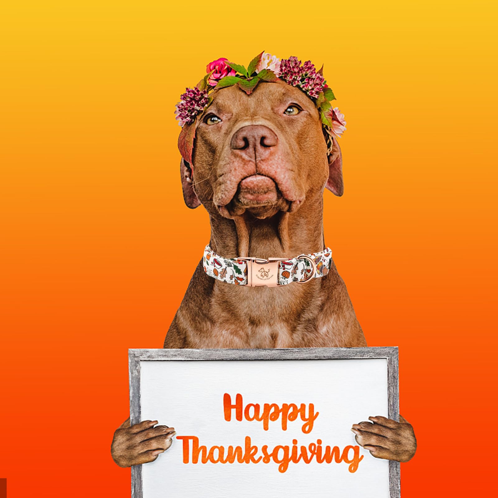 Elegant Little Tail Thanksgiving Dog Collar, Fall Turkey Print Pet Collar Durable Dog Collars Male Or Female Holiday Pet Gift Ad