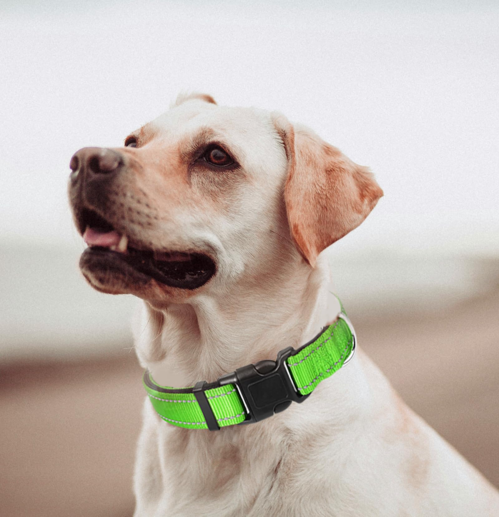 Small Dog Collar, Reflective Pet Collar With Buckle Adjustable Safety Nylon Collars For Small Medium Large Dogs, Green