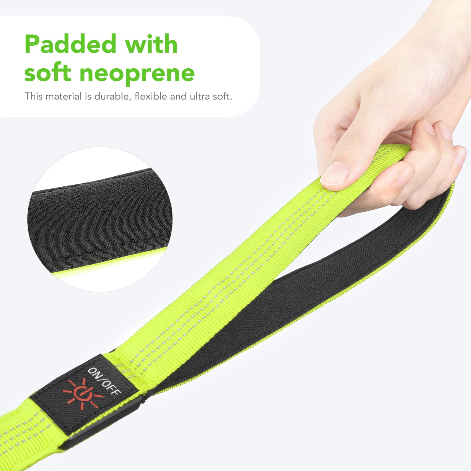 Colaseeme Light Up Dog Leash, 4Ft Led Pet Leashes Micro Usb Rechargeable, Nylon Glow Safety Dogs Lights At Night (Green-New)