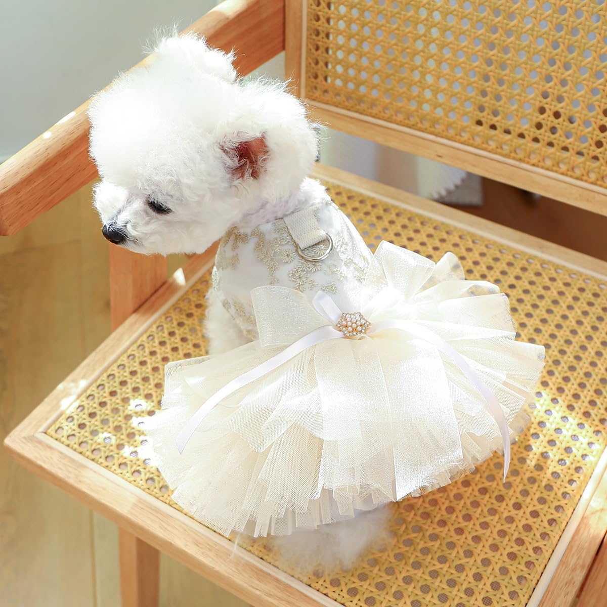 Small Dresses For Little Dogs Tutu Dress For Girl Dog Clothes Yorkie Outfits For Puppy Dog Dresses For Teacup Dogs S