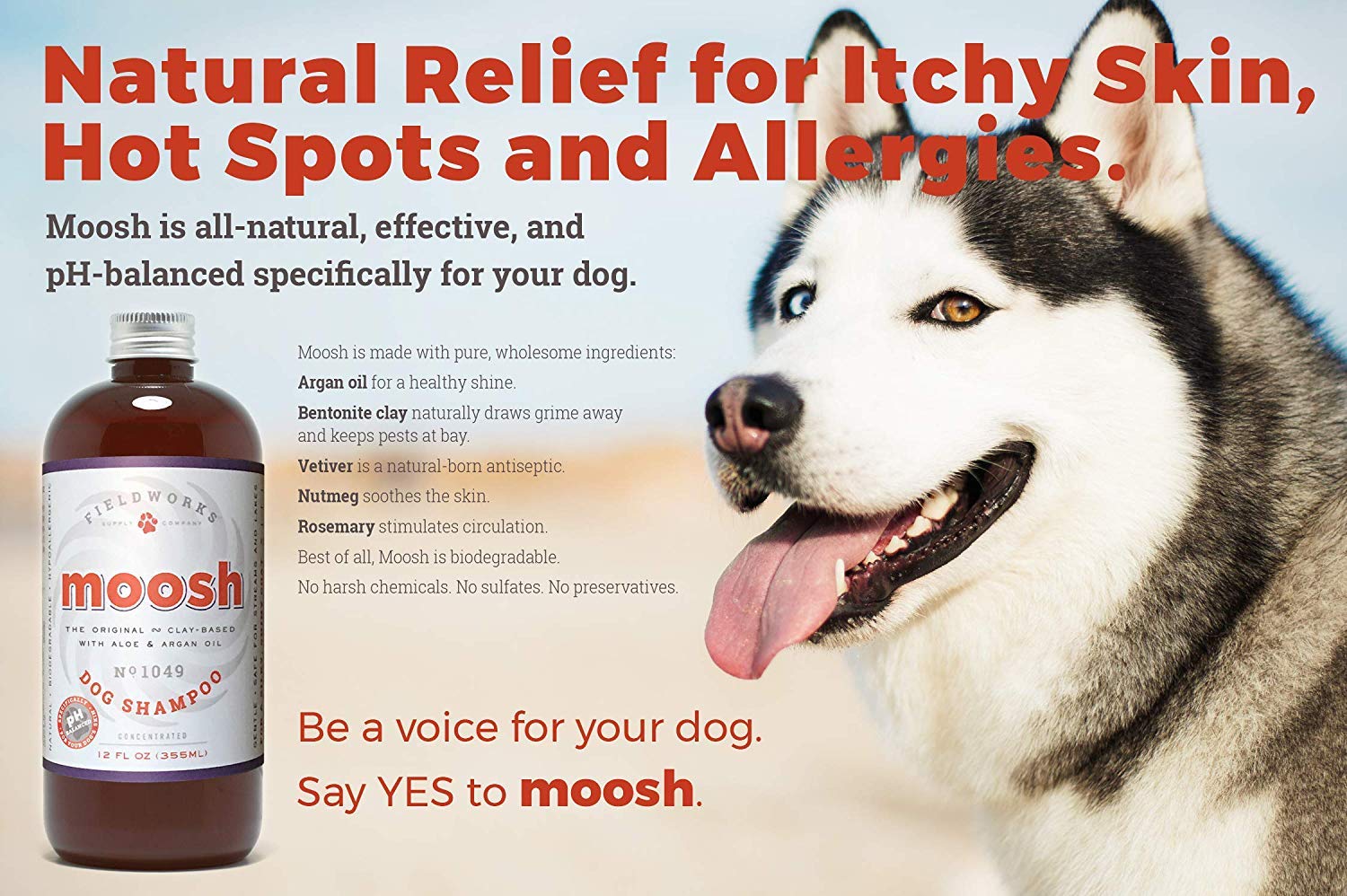Moosh Natural Dog Shampoo - Promotes Healthy Hair, Coat and Skin. Helps Hot Spots, Dry Itchy Skin. Pet Odor Eliminator - Groomin
