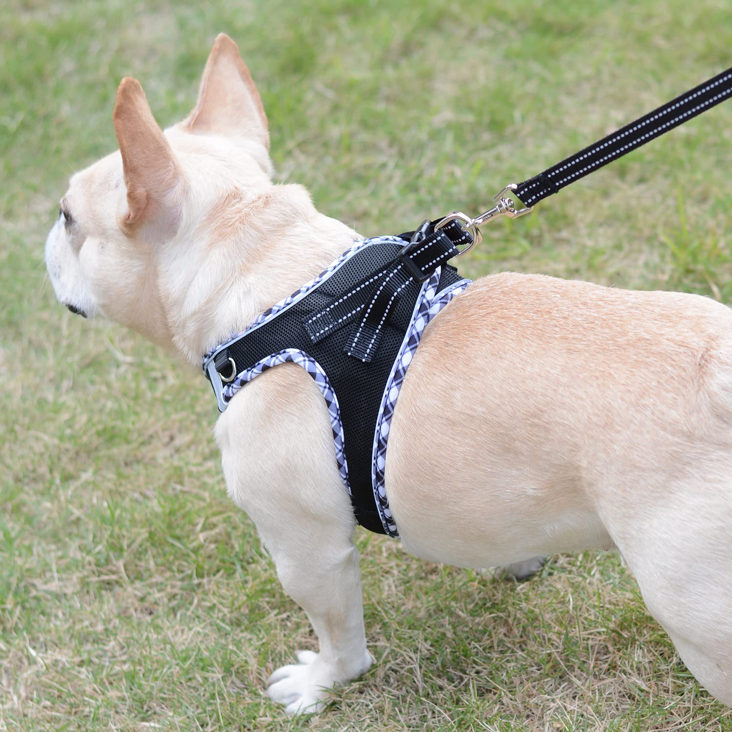 Mercano Soft Mesh Dog Harness & Leash Set, Reflective, Lightweight, Medium, Black White, Model MC001