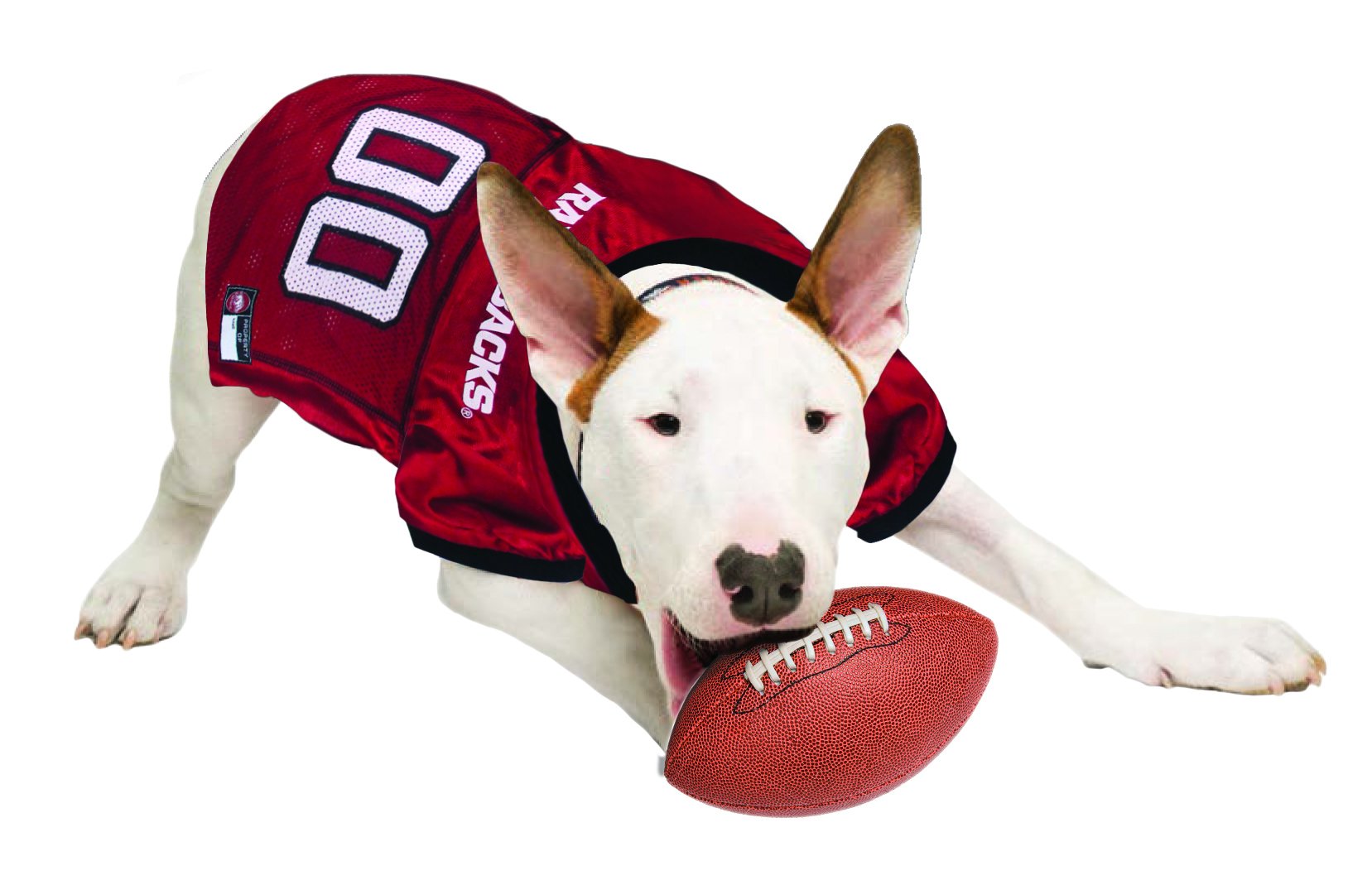 Pets First NCAA College Arkansas Razorbacks Mesh Jersey for DOGS & CATS, X-Large. Licensed Dog Jersey with your Favorite Footbal