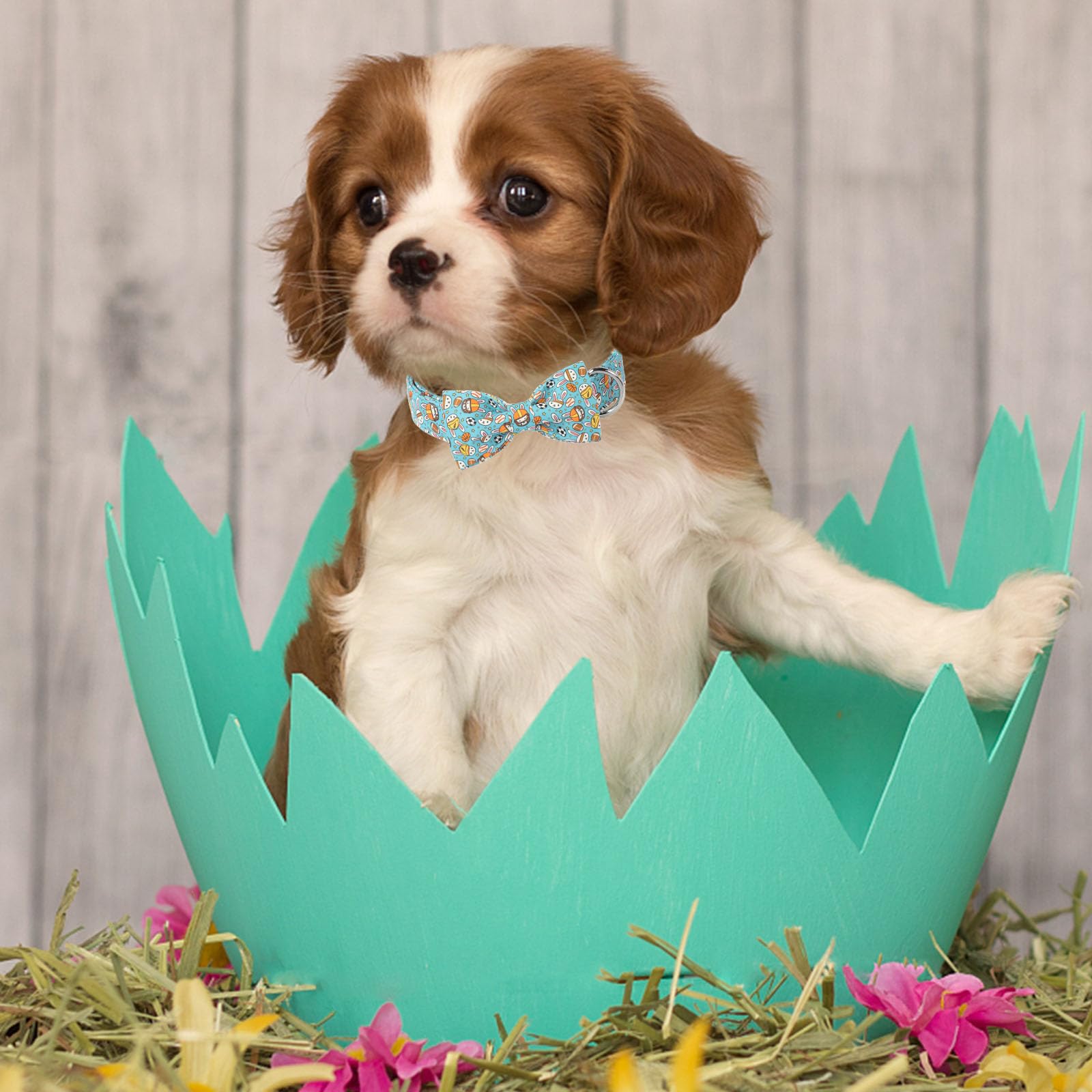 Unique Style Paws Easter Dog Collar With Bow Blue Sports Rabbit Ball Easter Egg Cotton Polyester Puppy Collars For Small Medium
