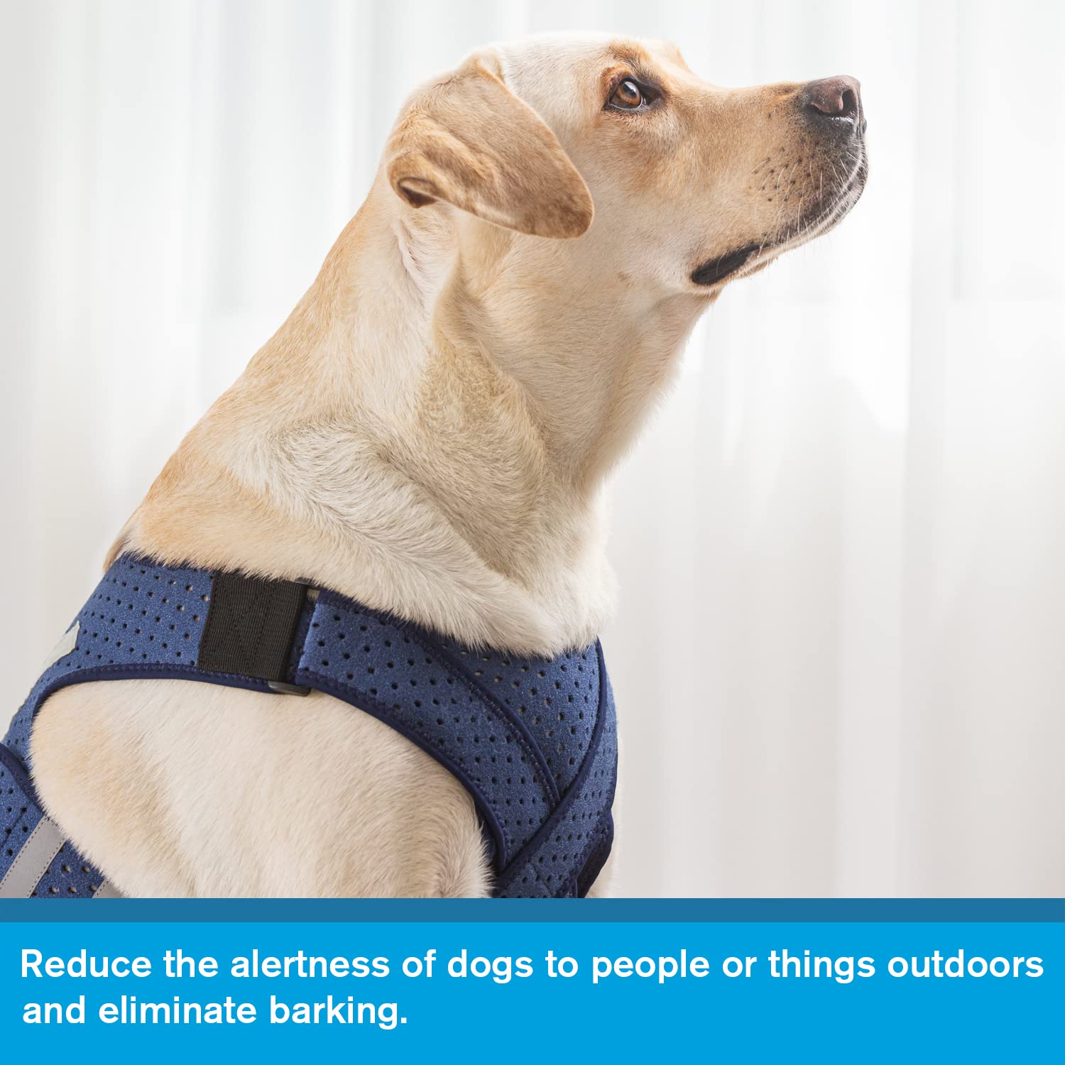 Yrenoer Dog Anxiety Vest, Comfort Dog Anxiety Relief Jacket, Breathable Shirts For Dogs, Soft Dog Anxiety Coat Vest, Puppy Anxiety Warp Calming Shirt For Pet (Xl, Blue)