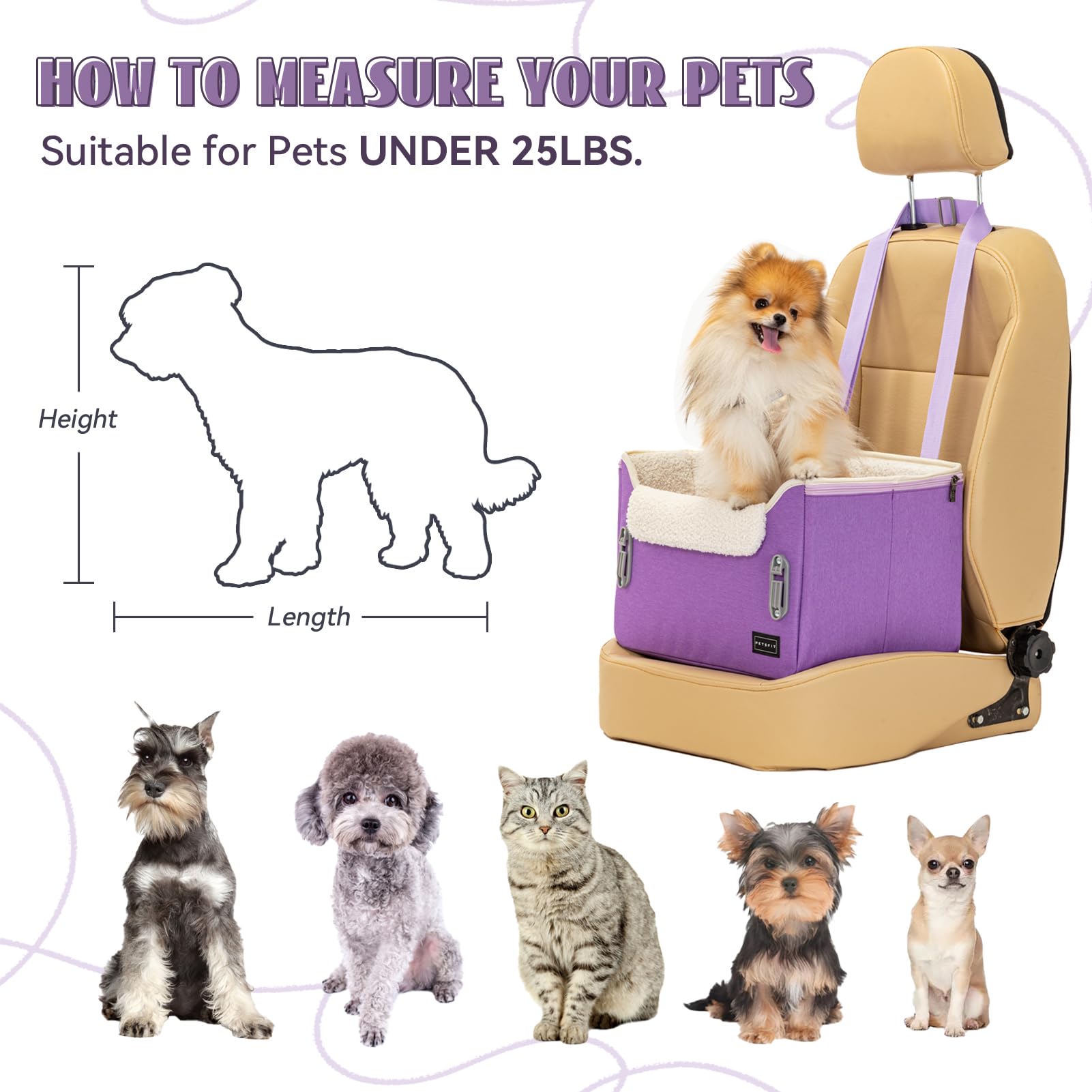 Petsfit Small Dog Car Seat, Puppy Portable Dog Booster Seat For Car With Clip-On Leash, Adjustable Straps Suitable For Small Pets Up To 25Lbs (Purple)
